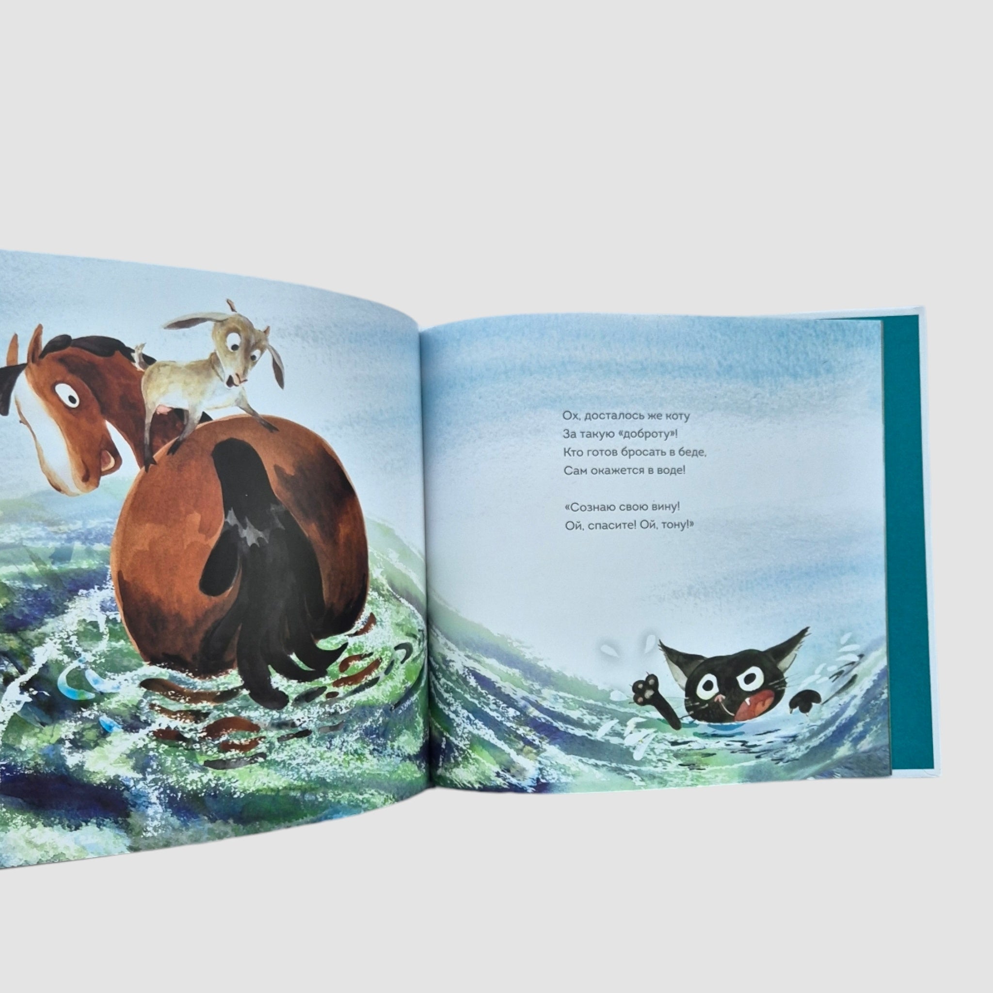 Adventures of Cookie the Horse