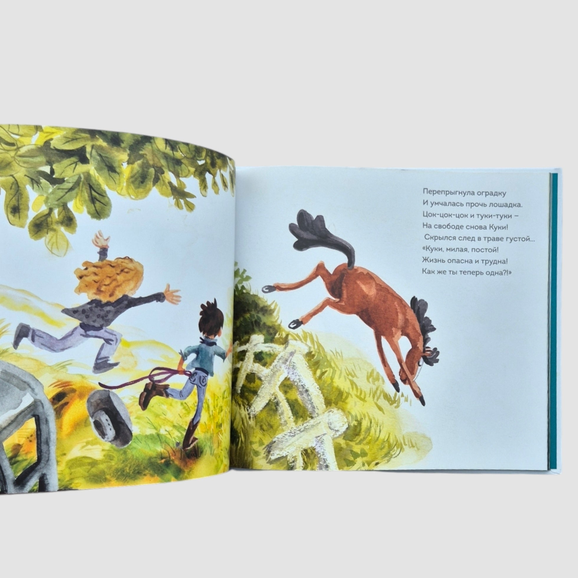 Adventures of Cookie the Horse