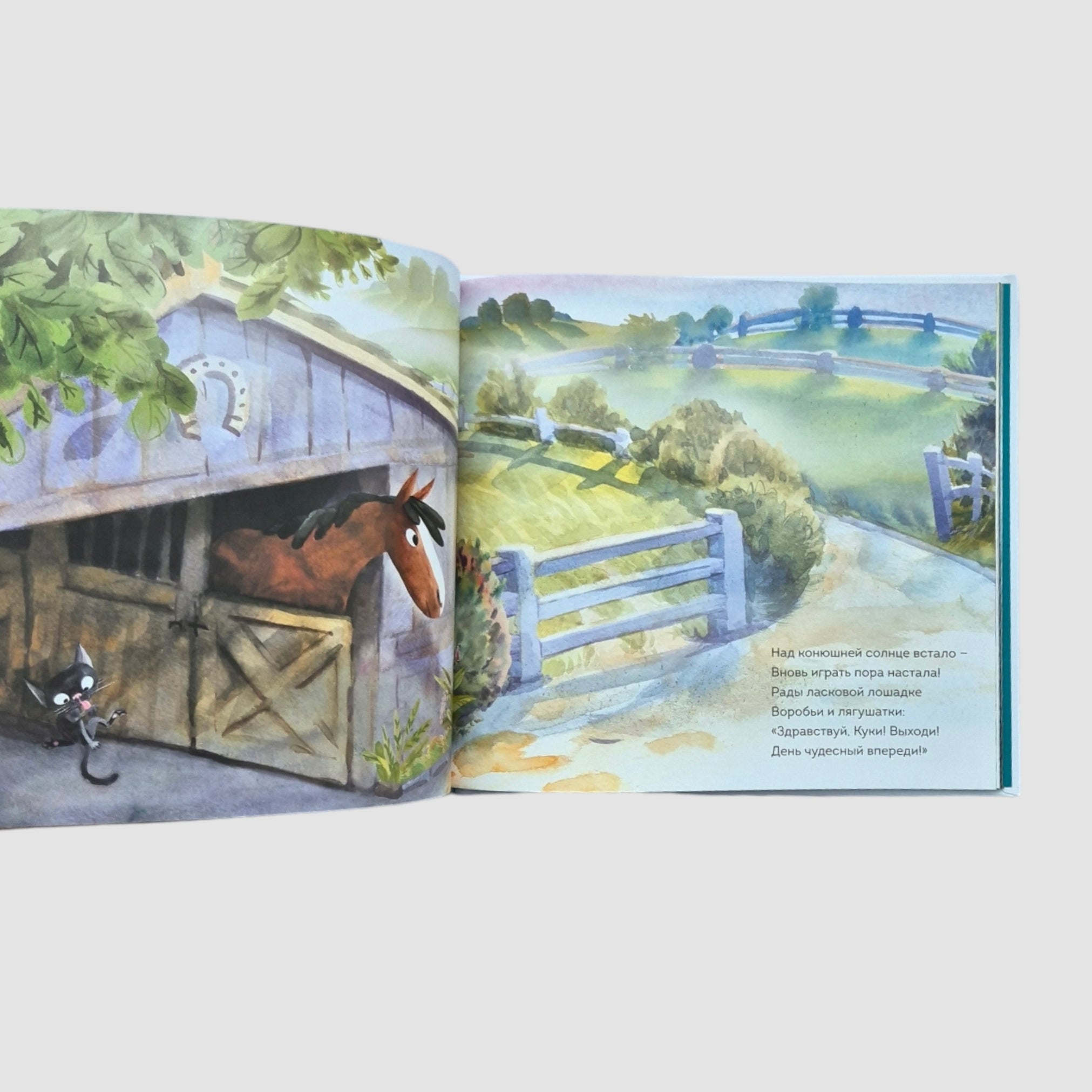 Adventures of Cookie the Horse