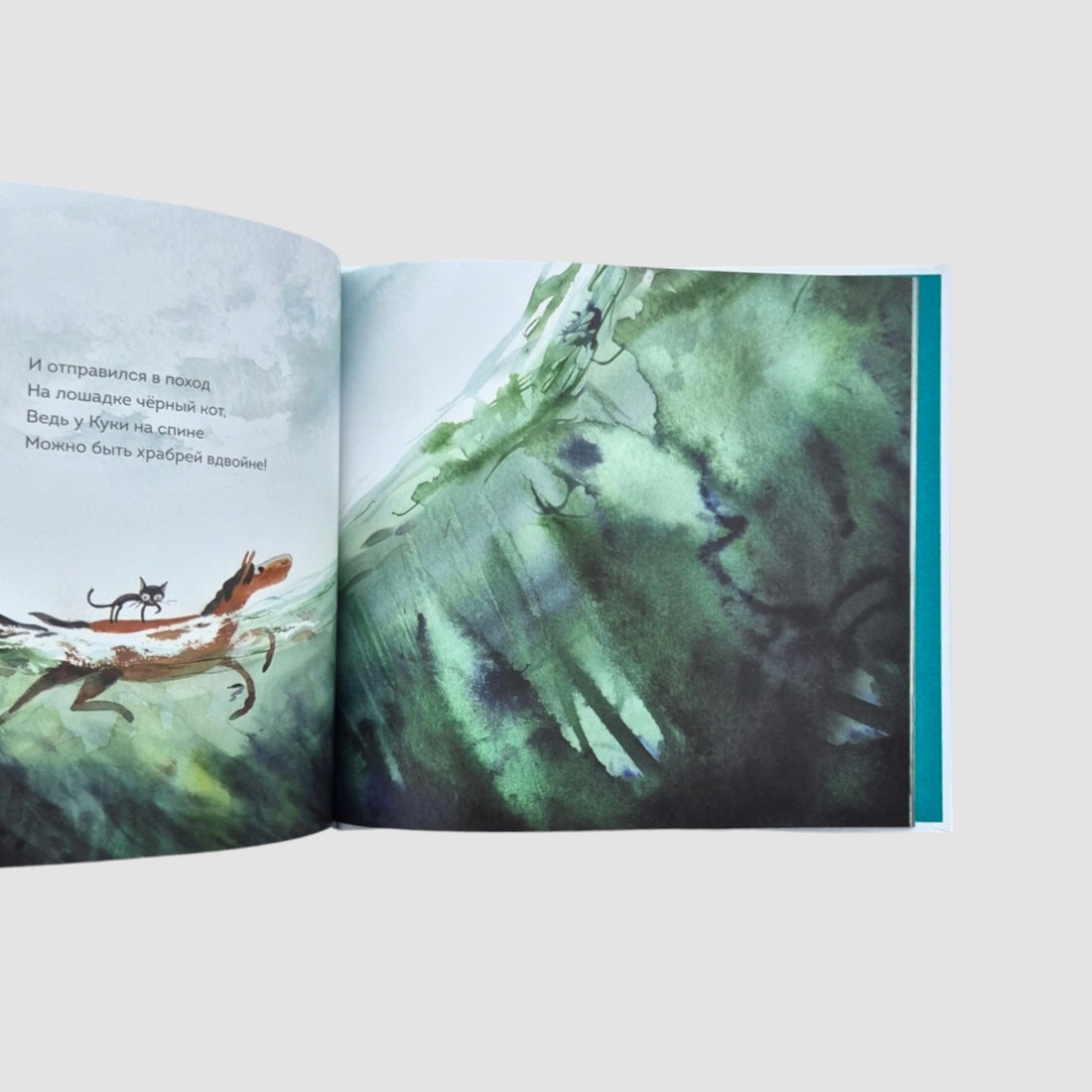 Adventures of Cookie the Horse