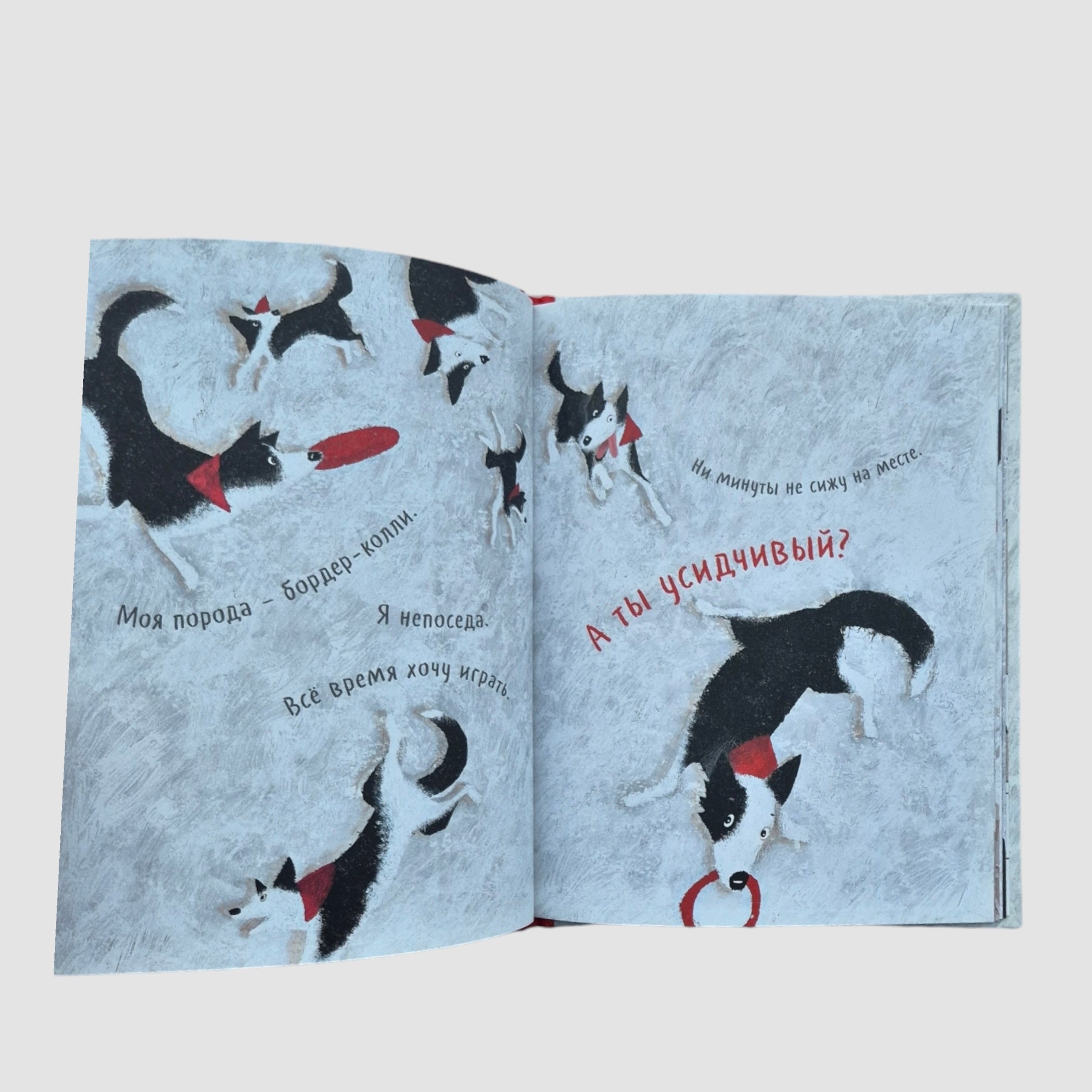 Чао, давай дружить