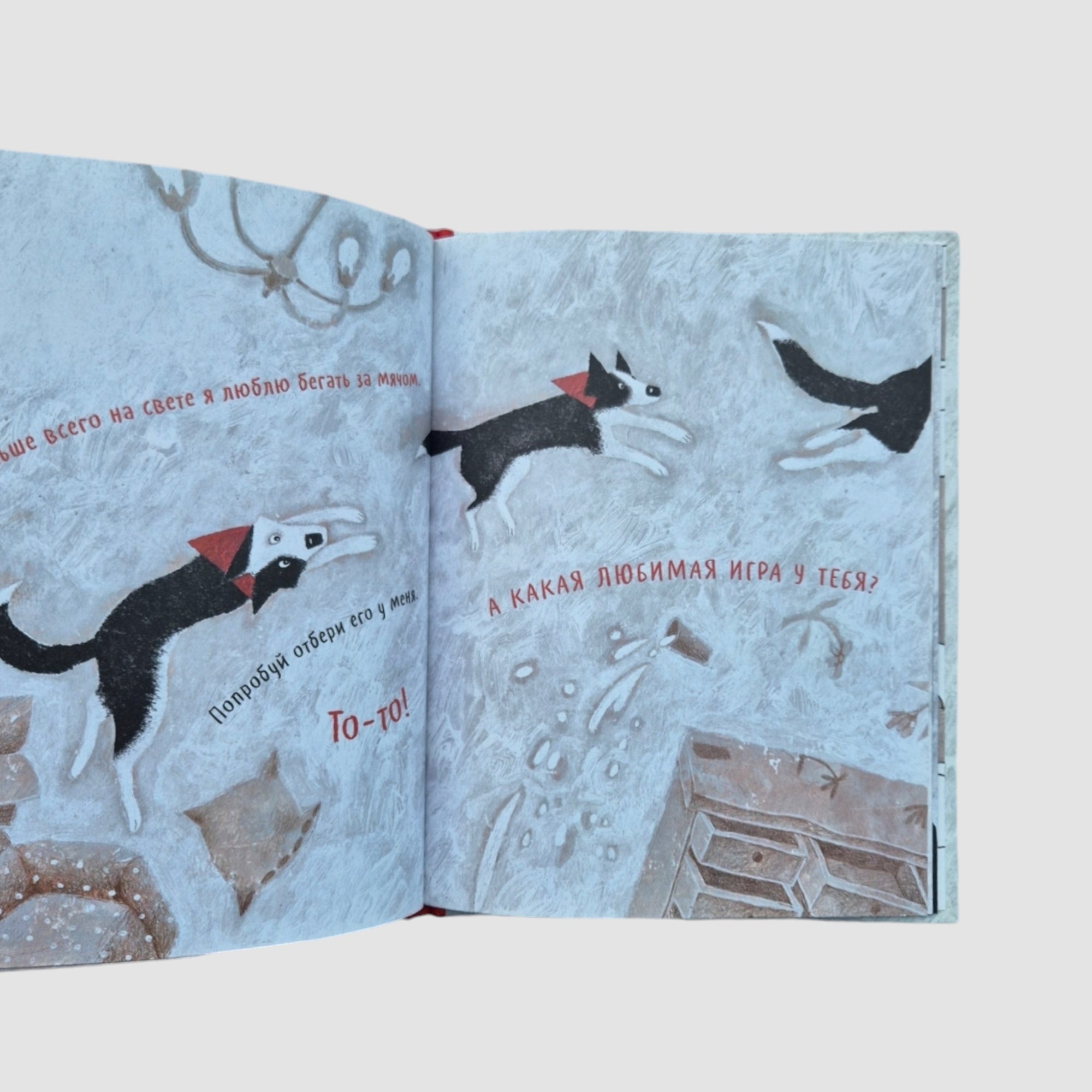 Чао, давай дружить