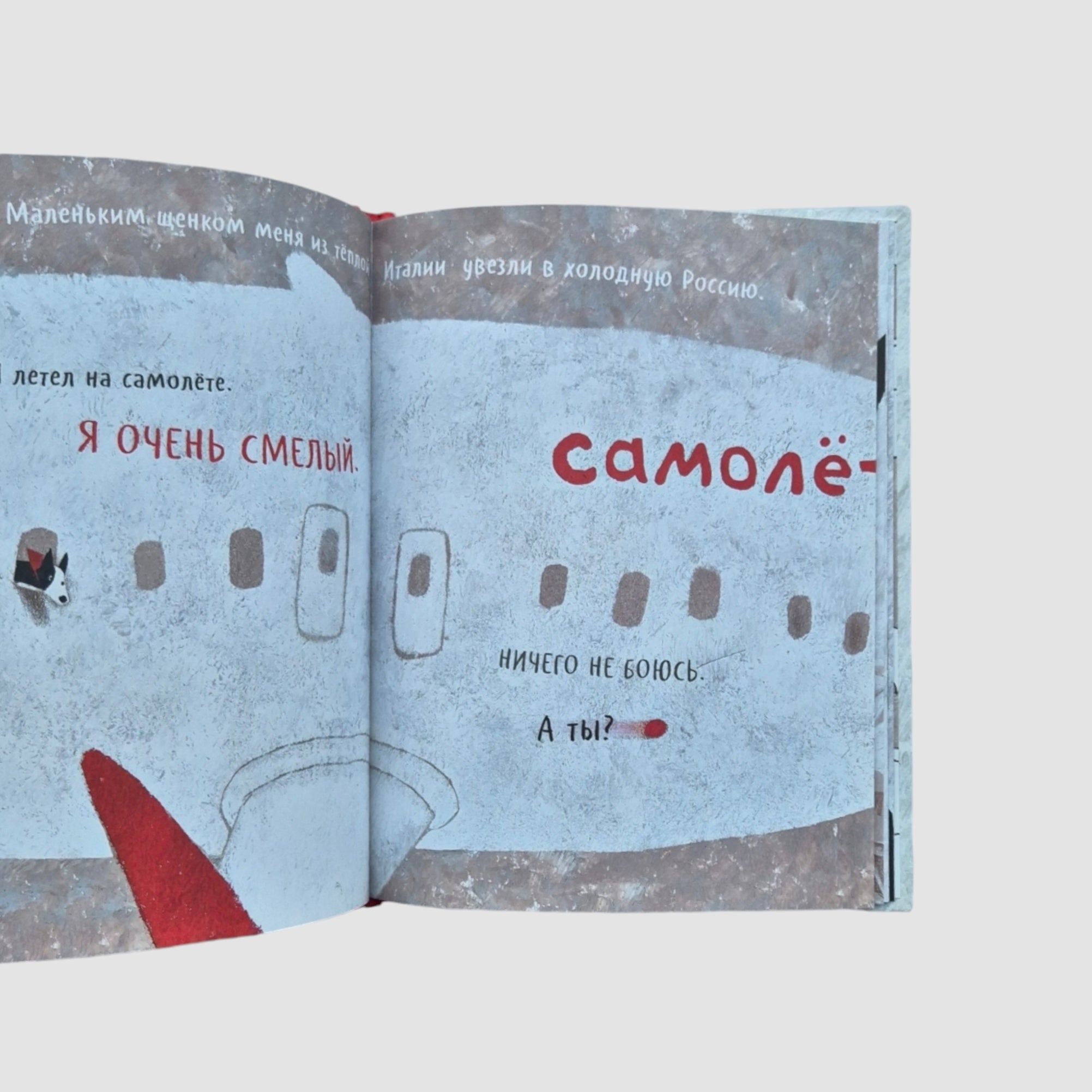 Чао, давай дружить