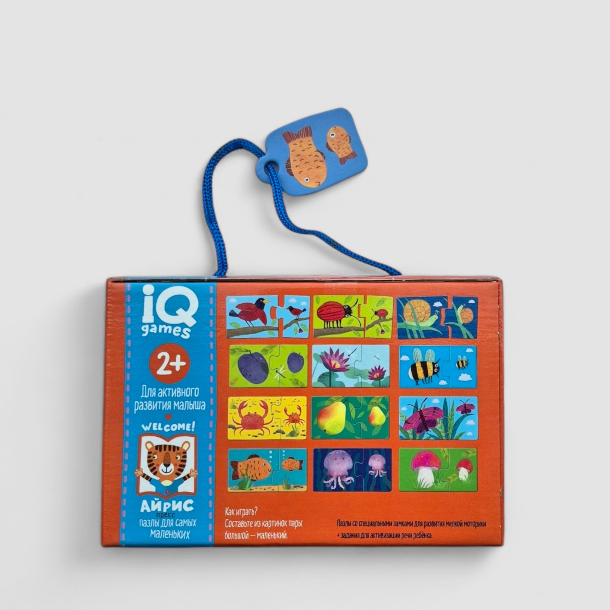 IQ games for the little ones. Couples. Big-small. 2+