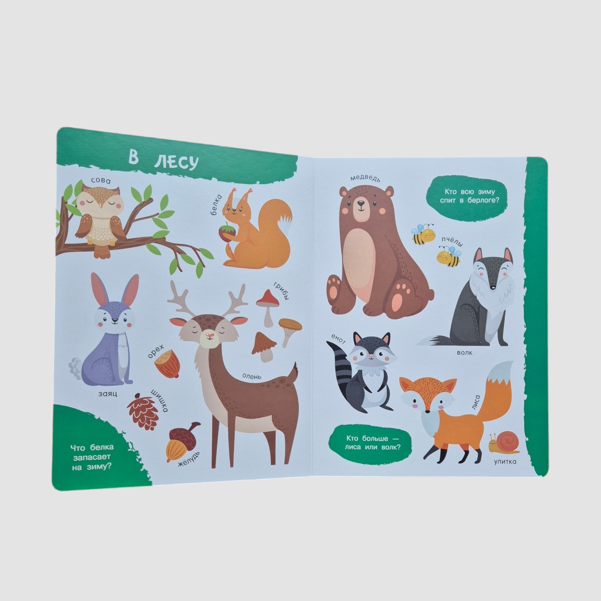 Животные. Первая книга: 100 картинок