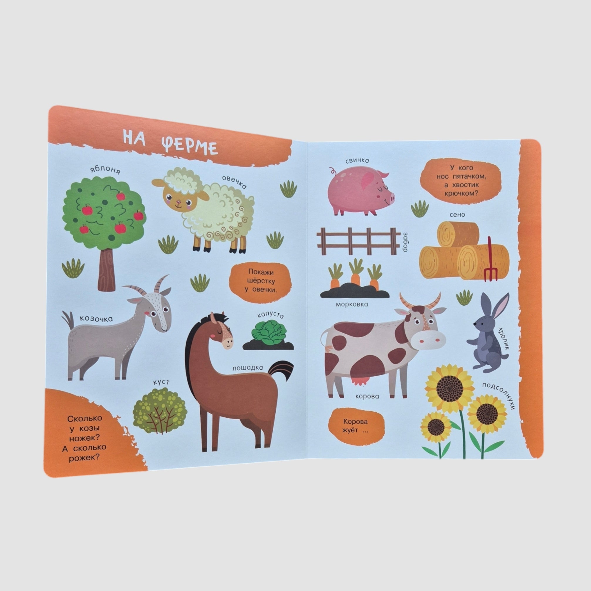 Животные. Первая книга: 100 картинок