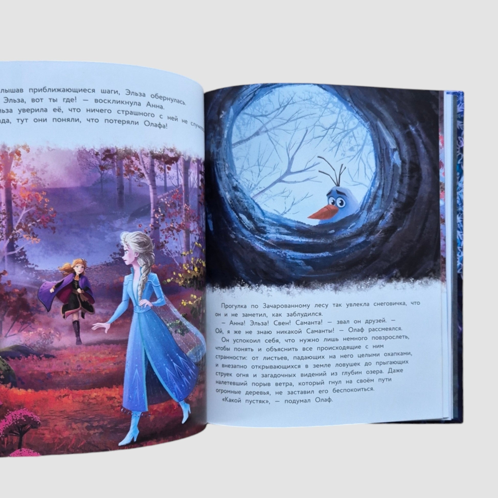 Frozen II. The full version of the magical story