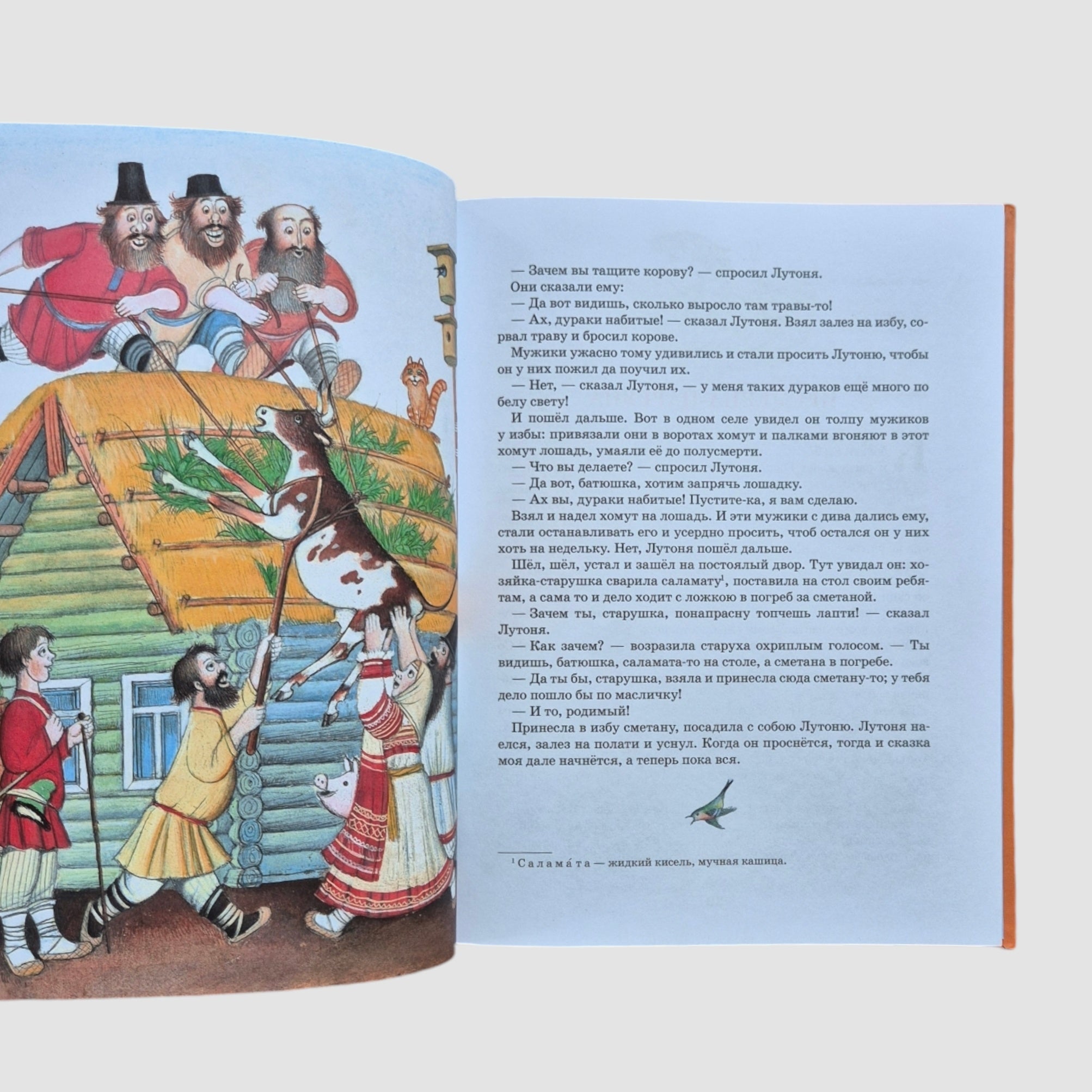 Russian Fairy Tales (illustrated by P. Bagin)