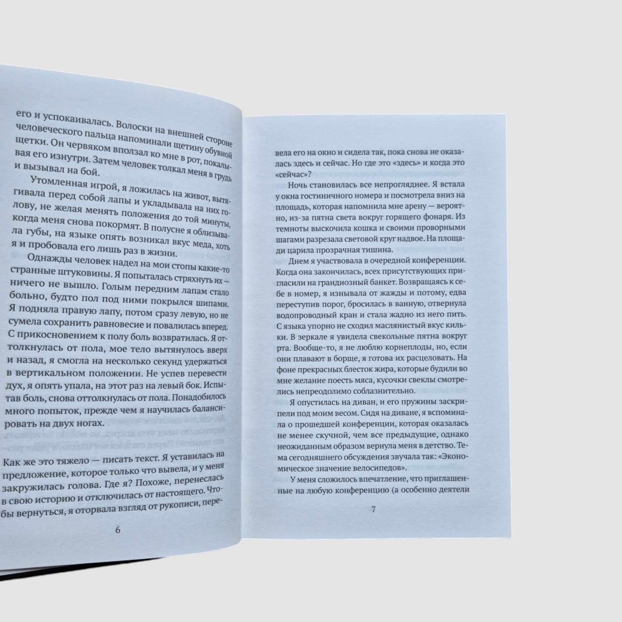 Мемуары белого медведя