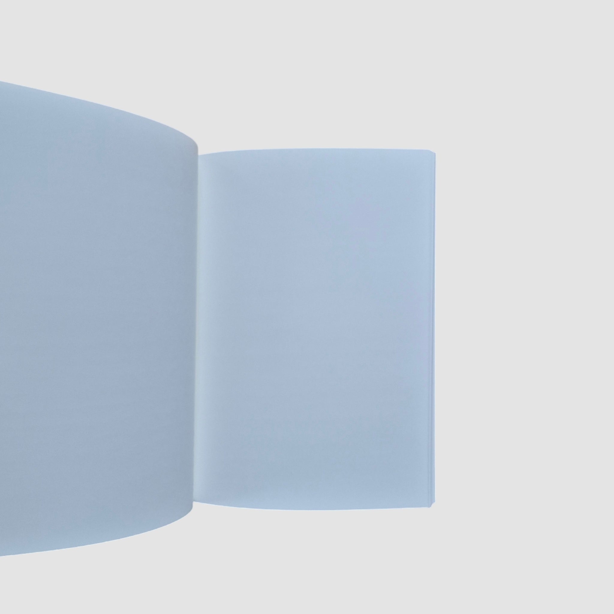 Green notebook WISH IT. PLAN IT. DO IT.