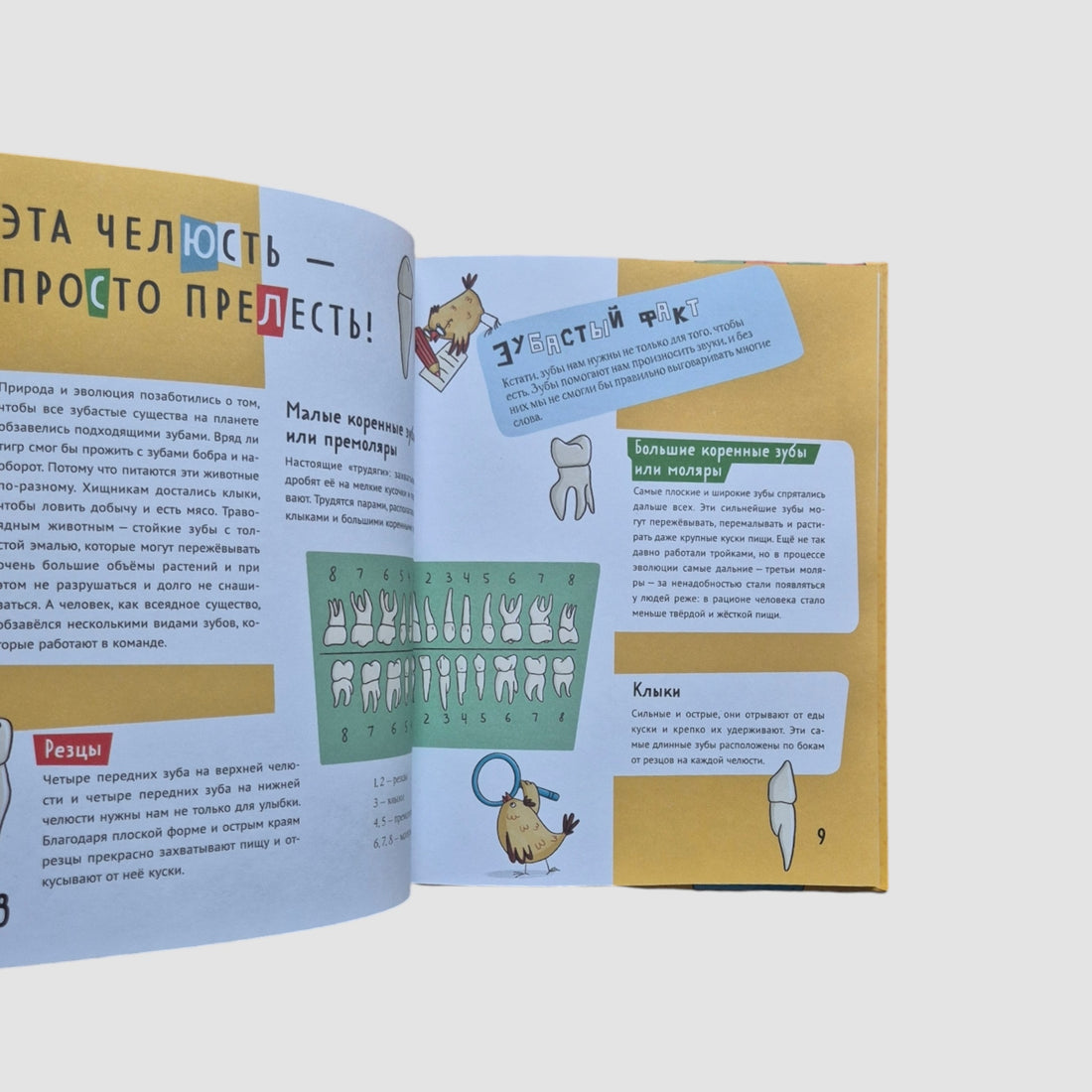 Toothy Encyclopedia