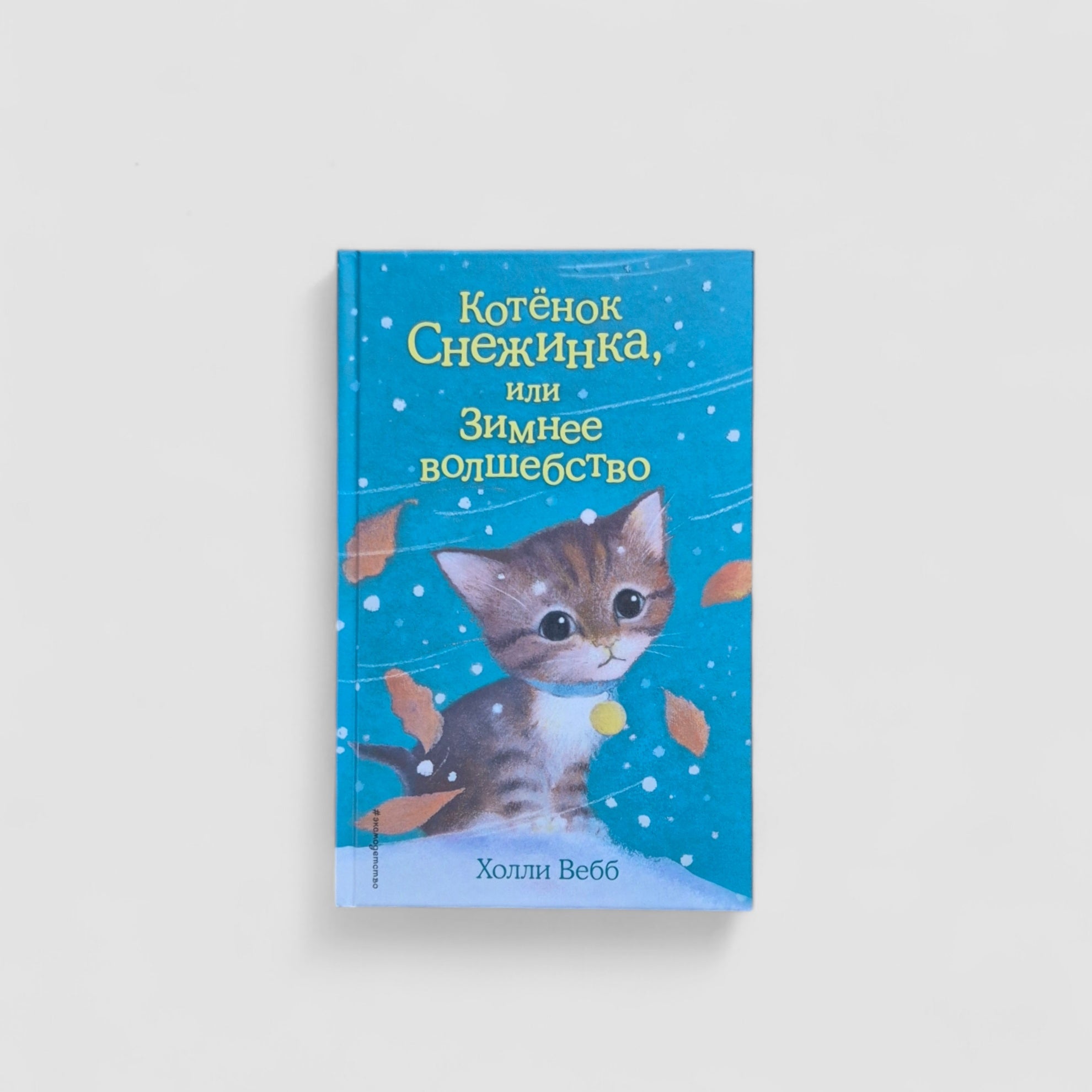 Kitten Snowflake, or Winter Magic