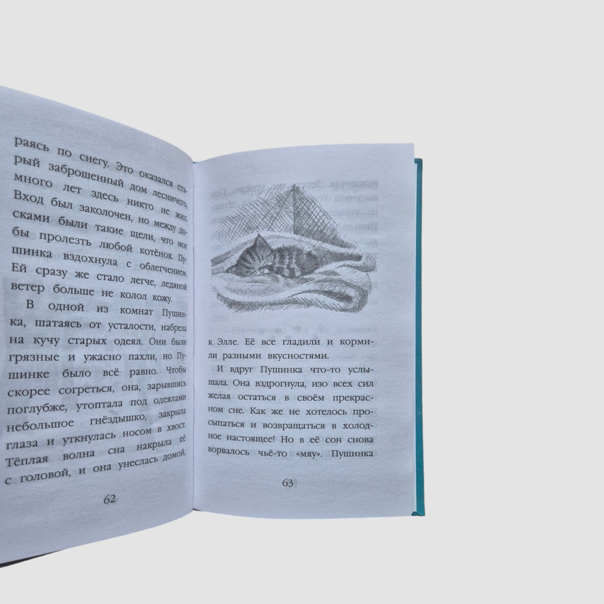 Kitten Snowflake, or Winter Magic