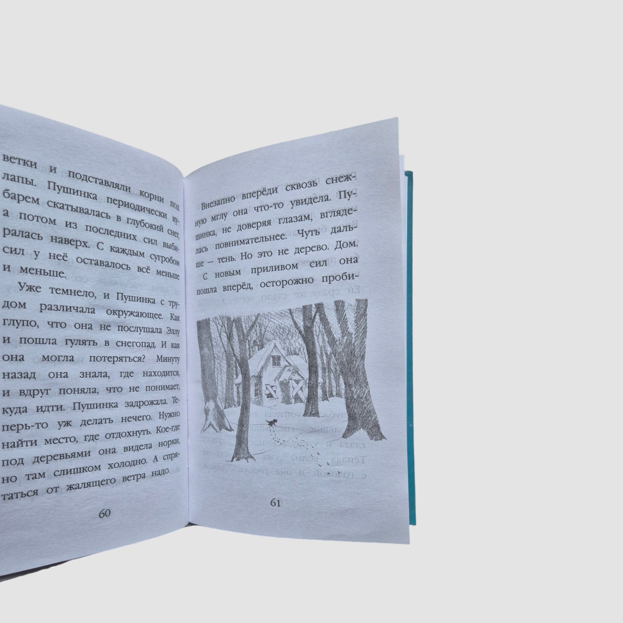 Kitten Snowflake, or Winter Magic