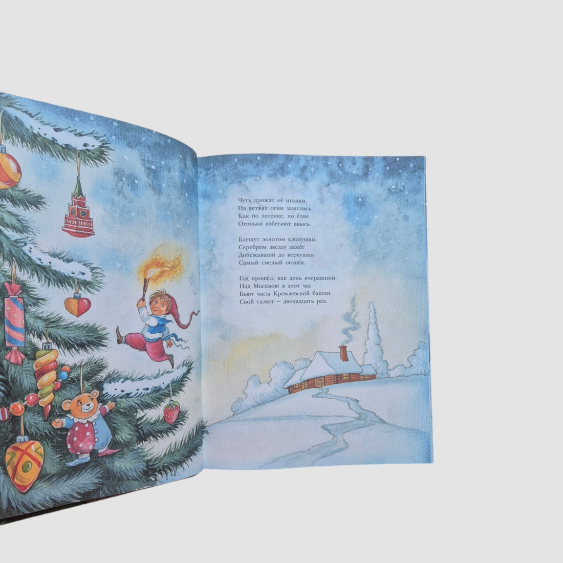 Зимняя книга
