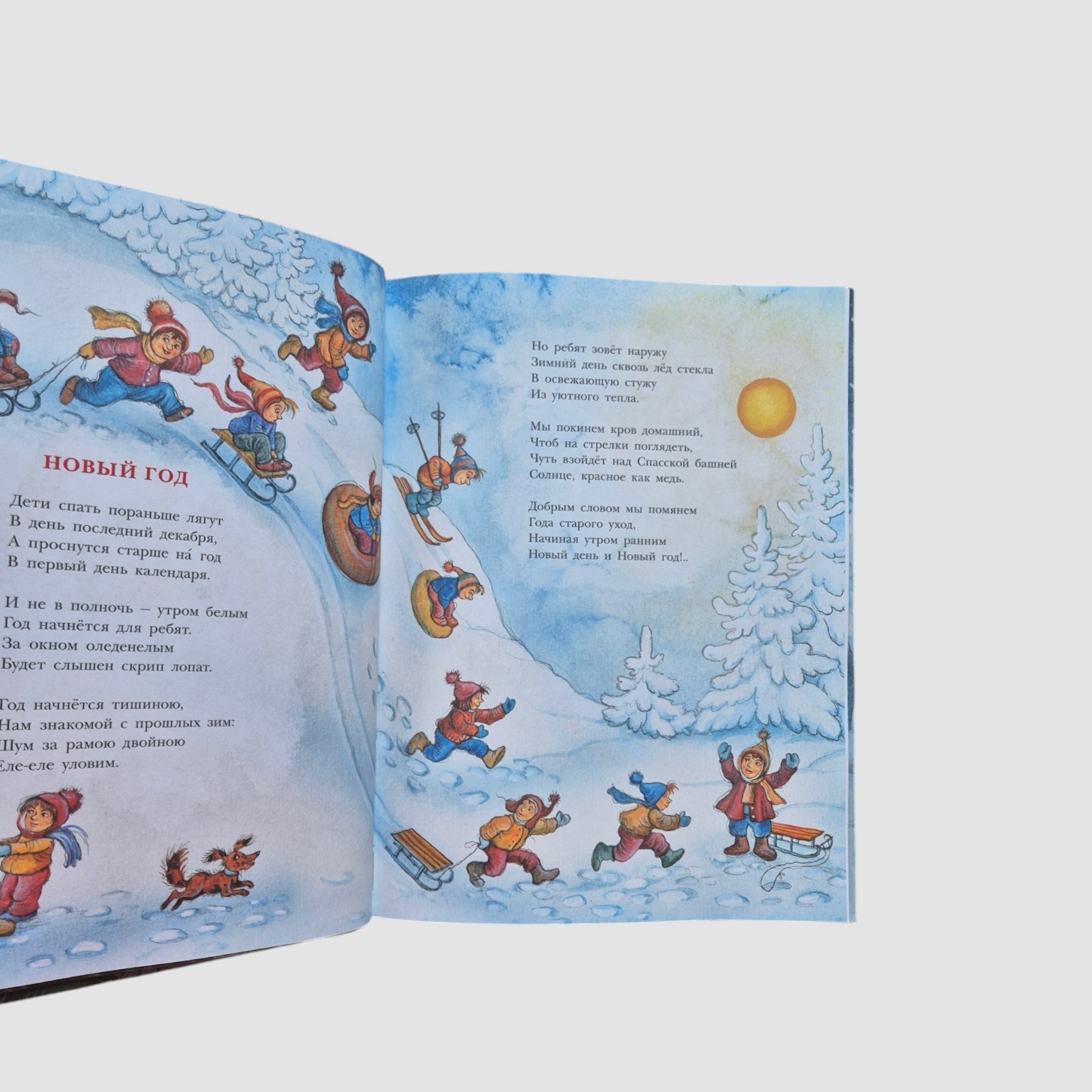 Зимняя книга