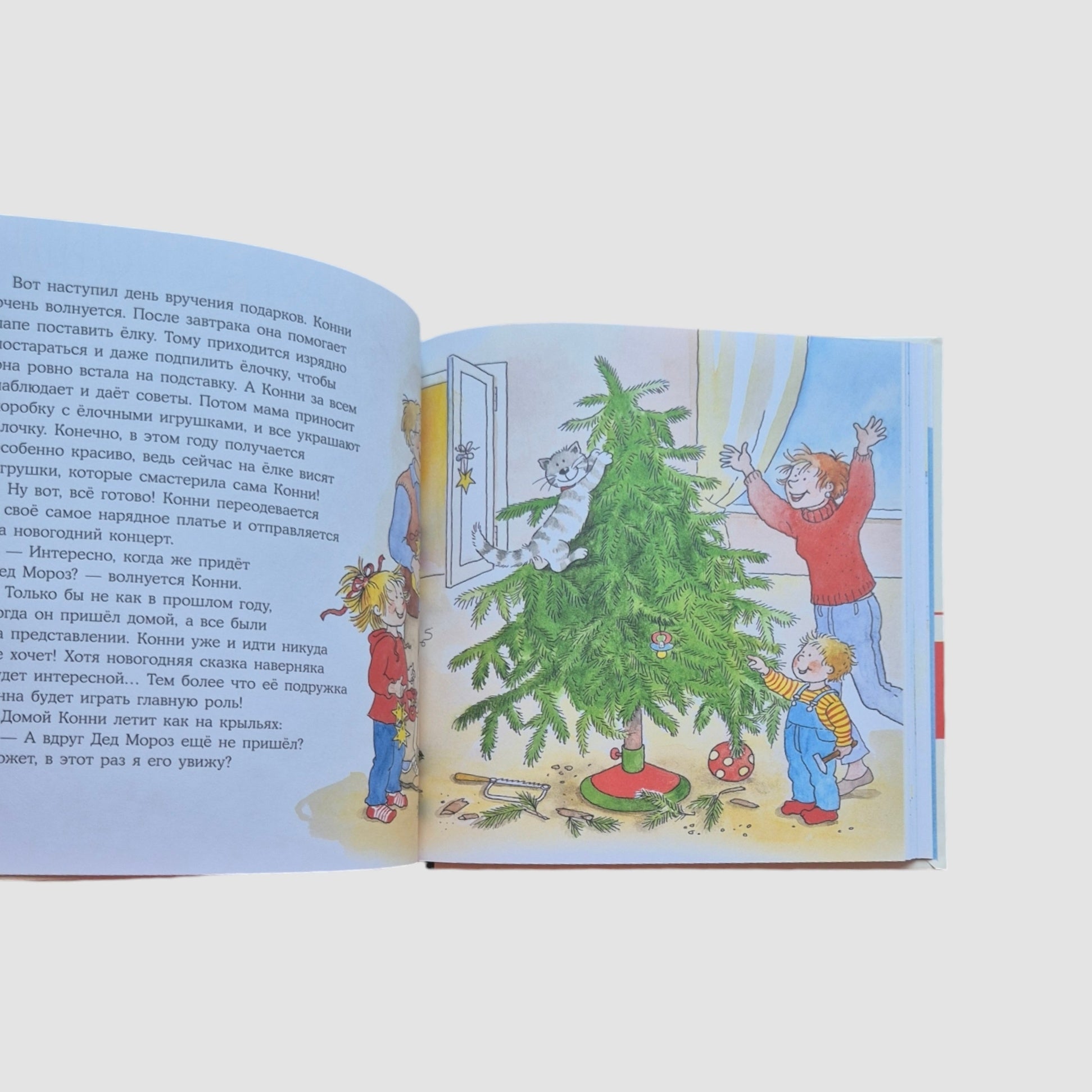 Connie's Big Book of Adventures. New Year