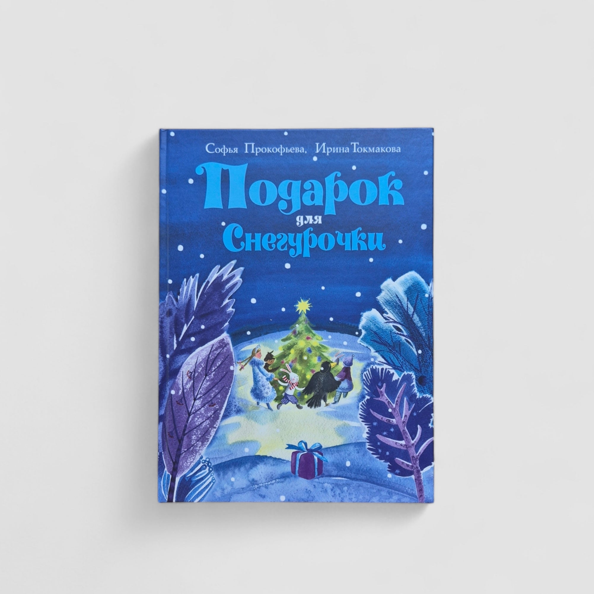 A gift for the Snow Maiden 