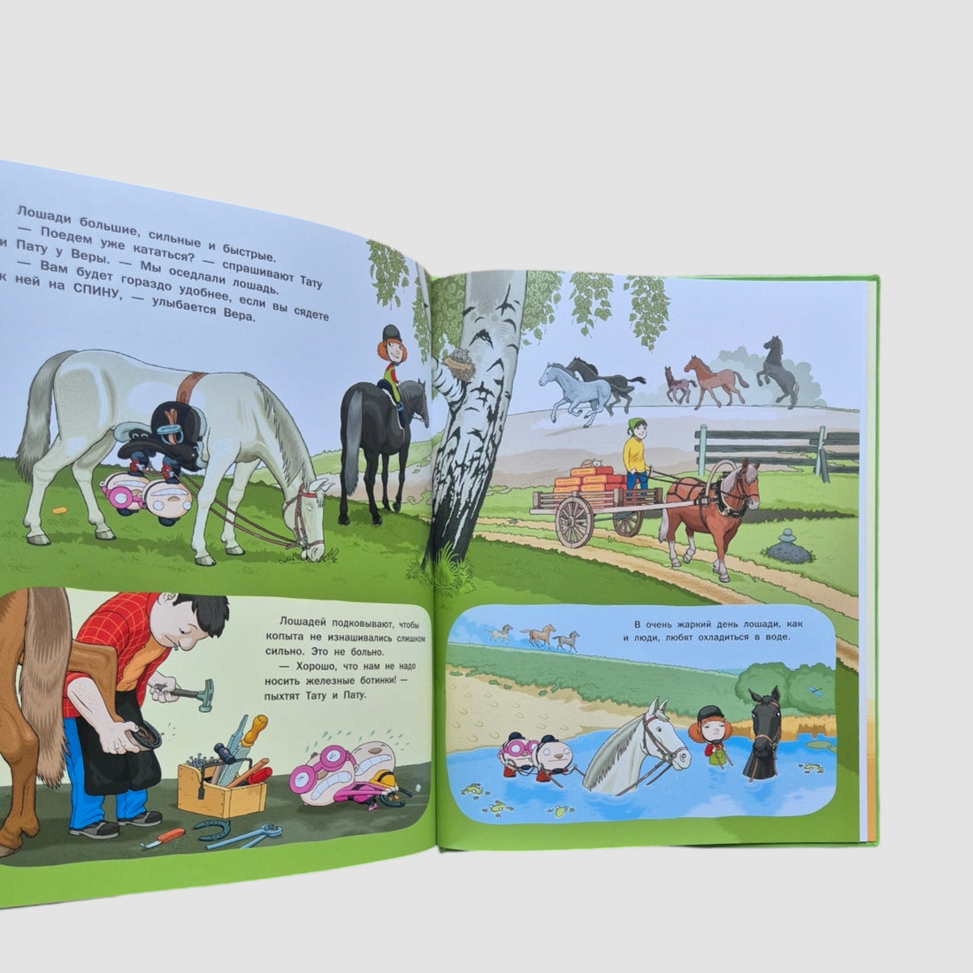 Vera and animals on the farm