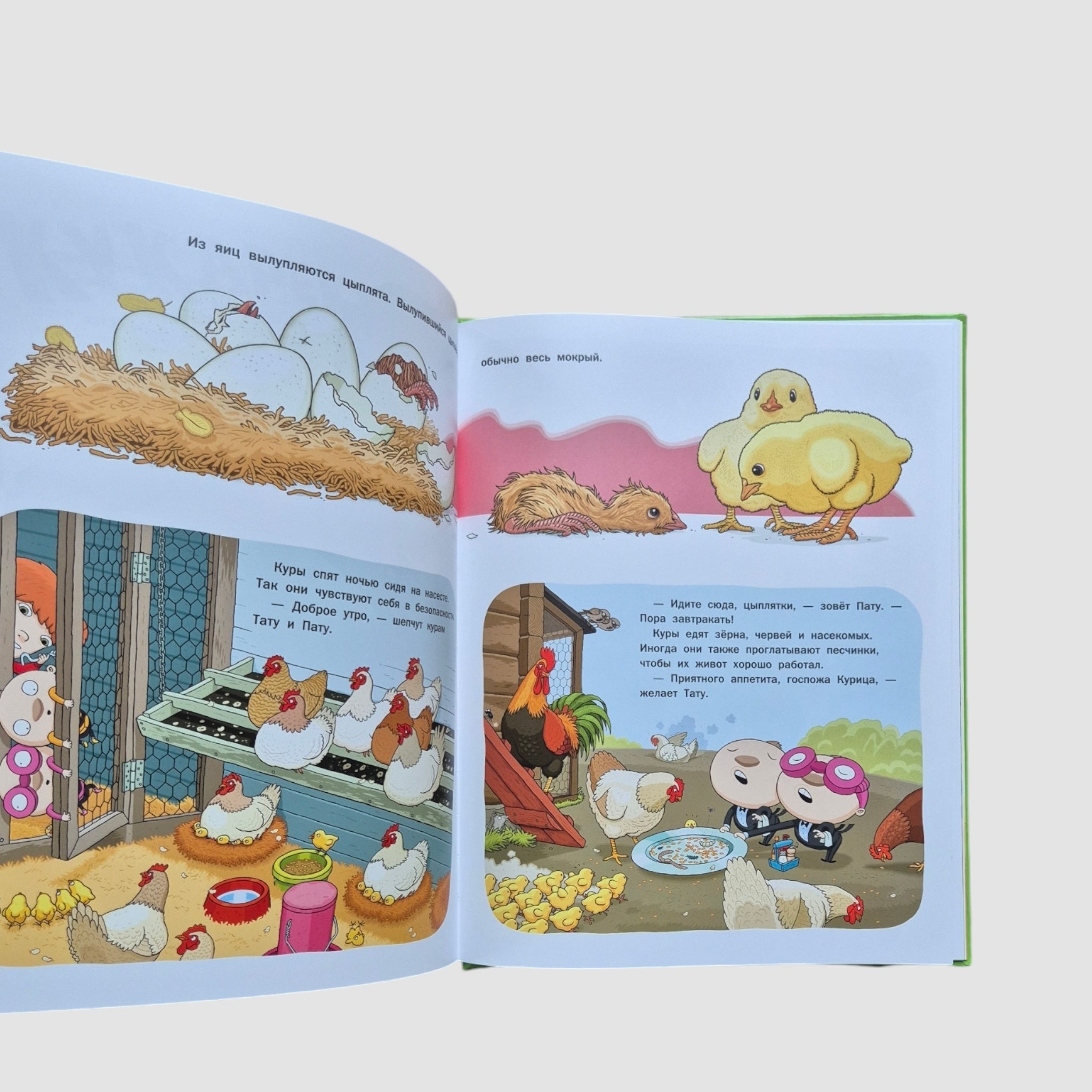 Vera and animals on the farm