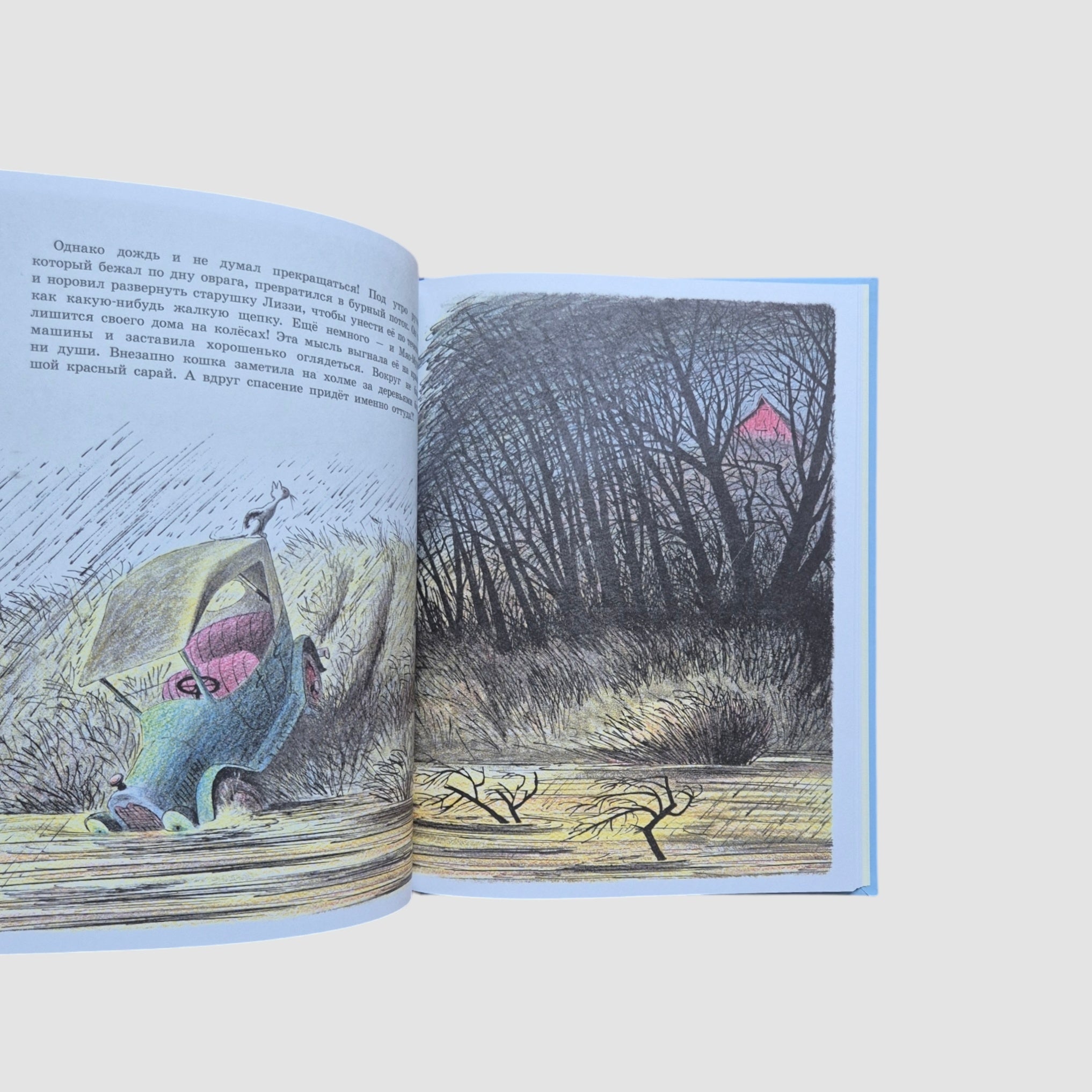 Старушка Лиззи и Мяо-Мурси