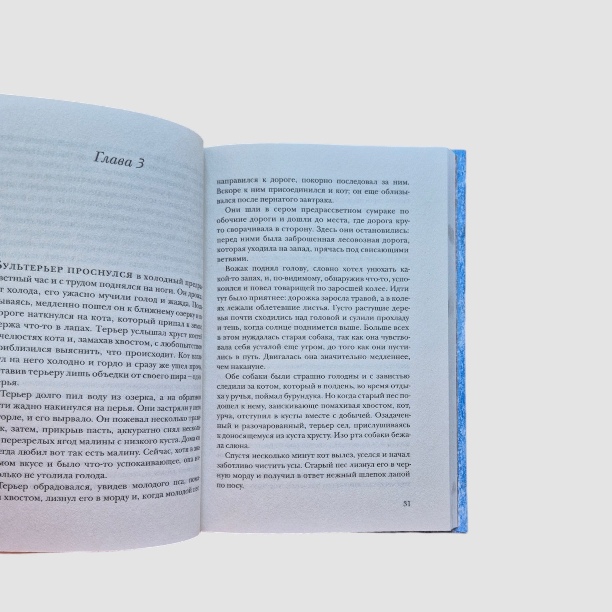 Невероятное путешествие