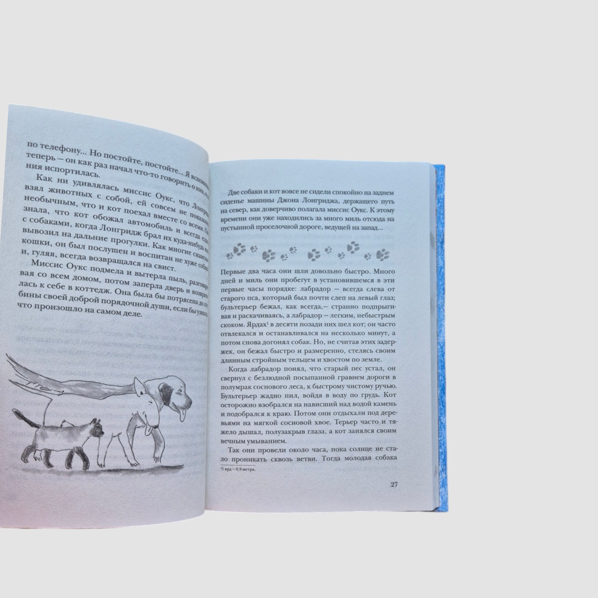 Невероятное путешествие