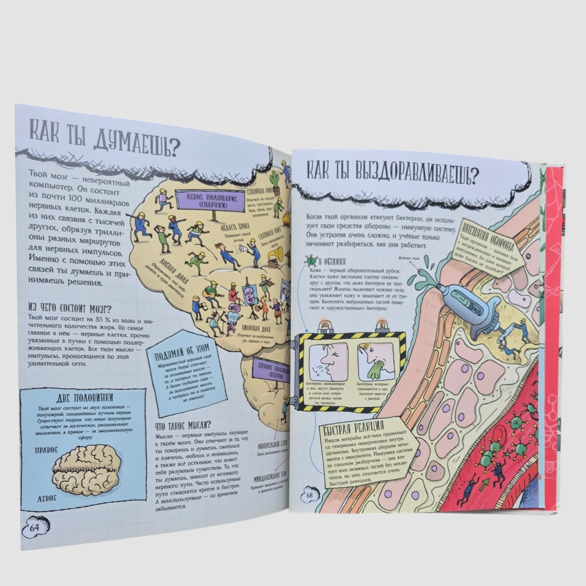 Большое путешествие по телу человека