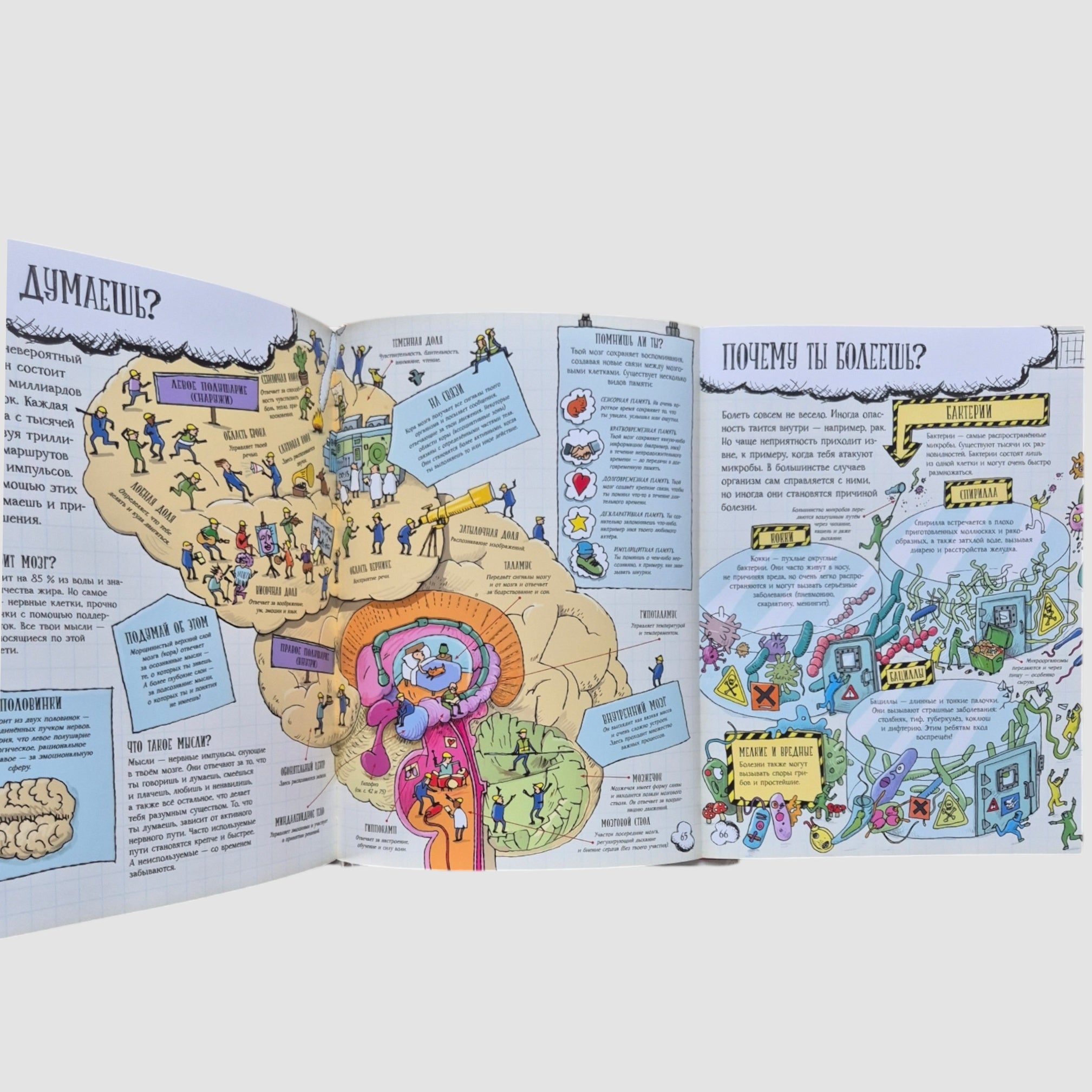 Большое путешествие по телу человека