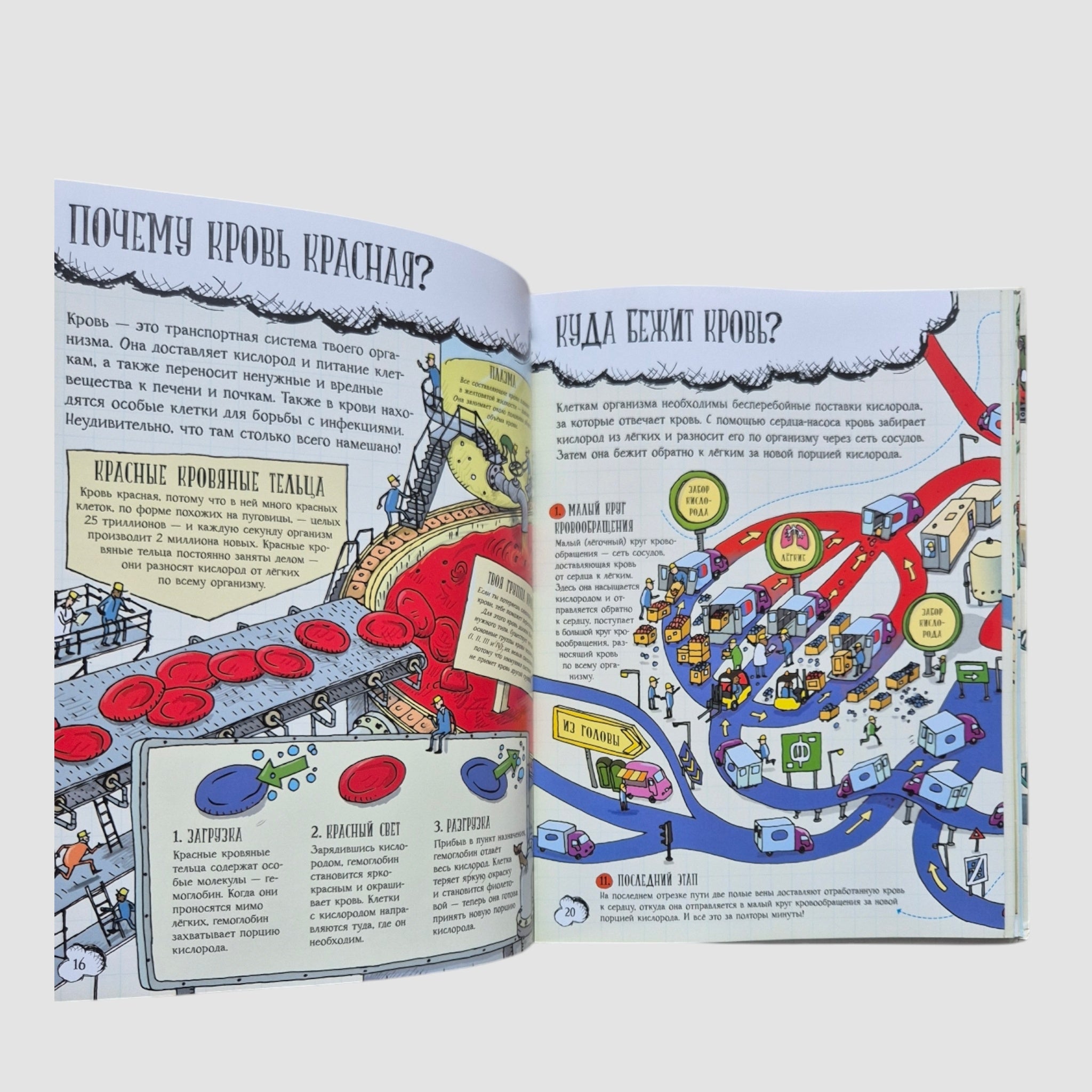 Большое путешествие по телу человека