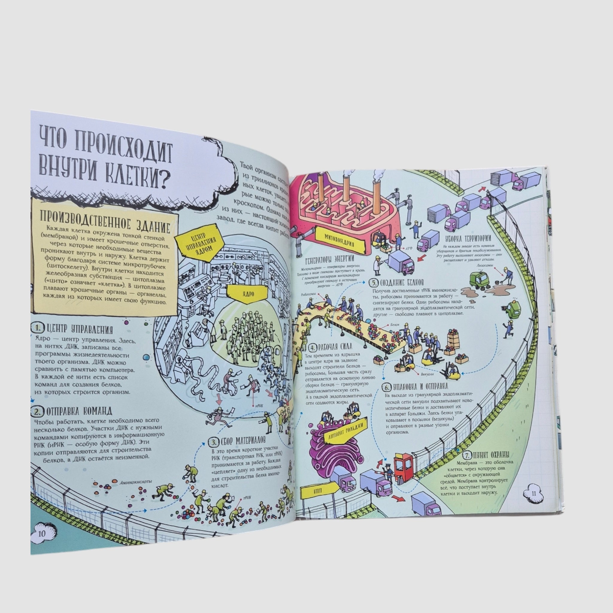 Большое путешествие по телу человека