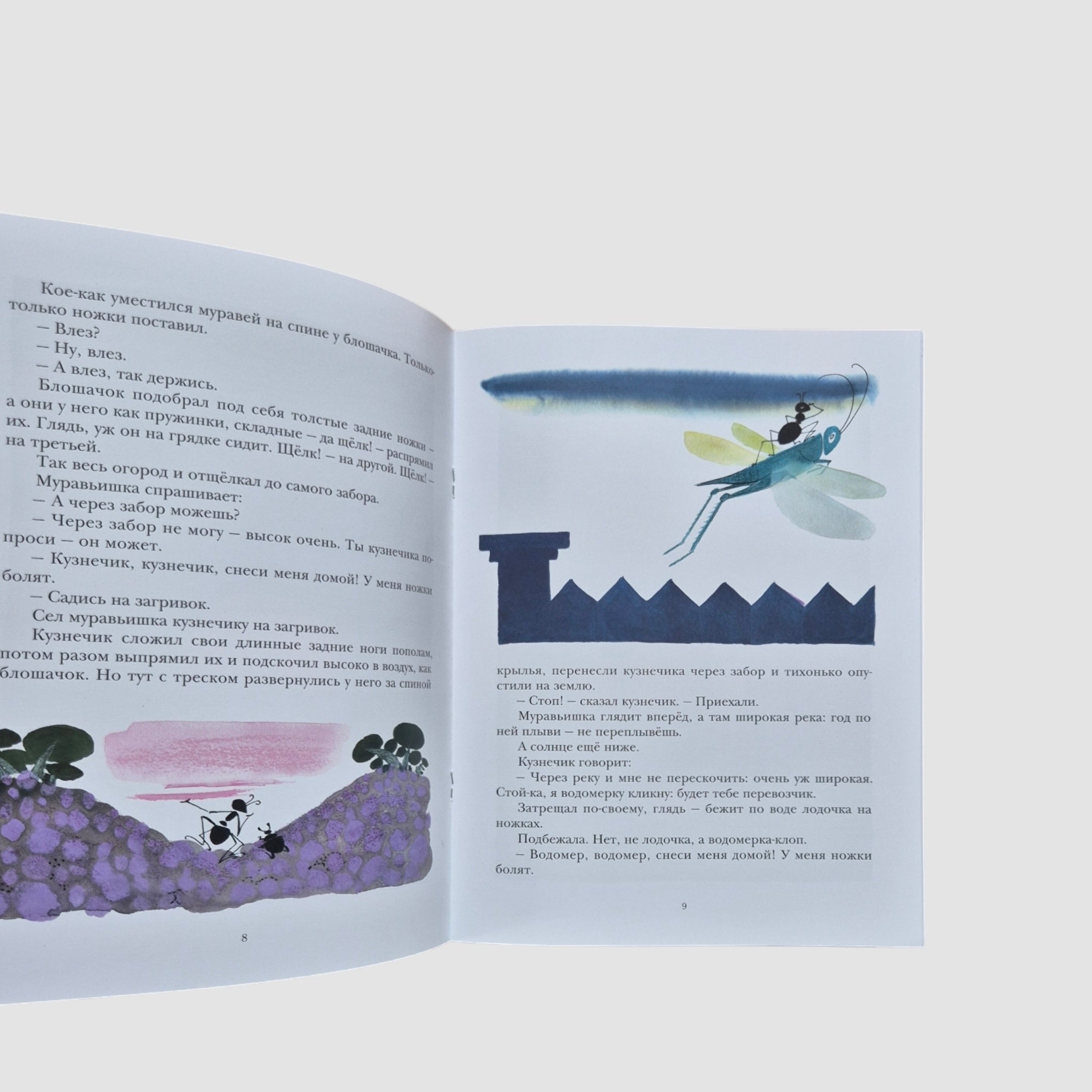 How the ant hurried home