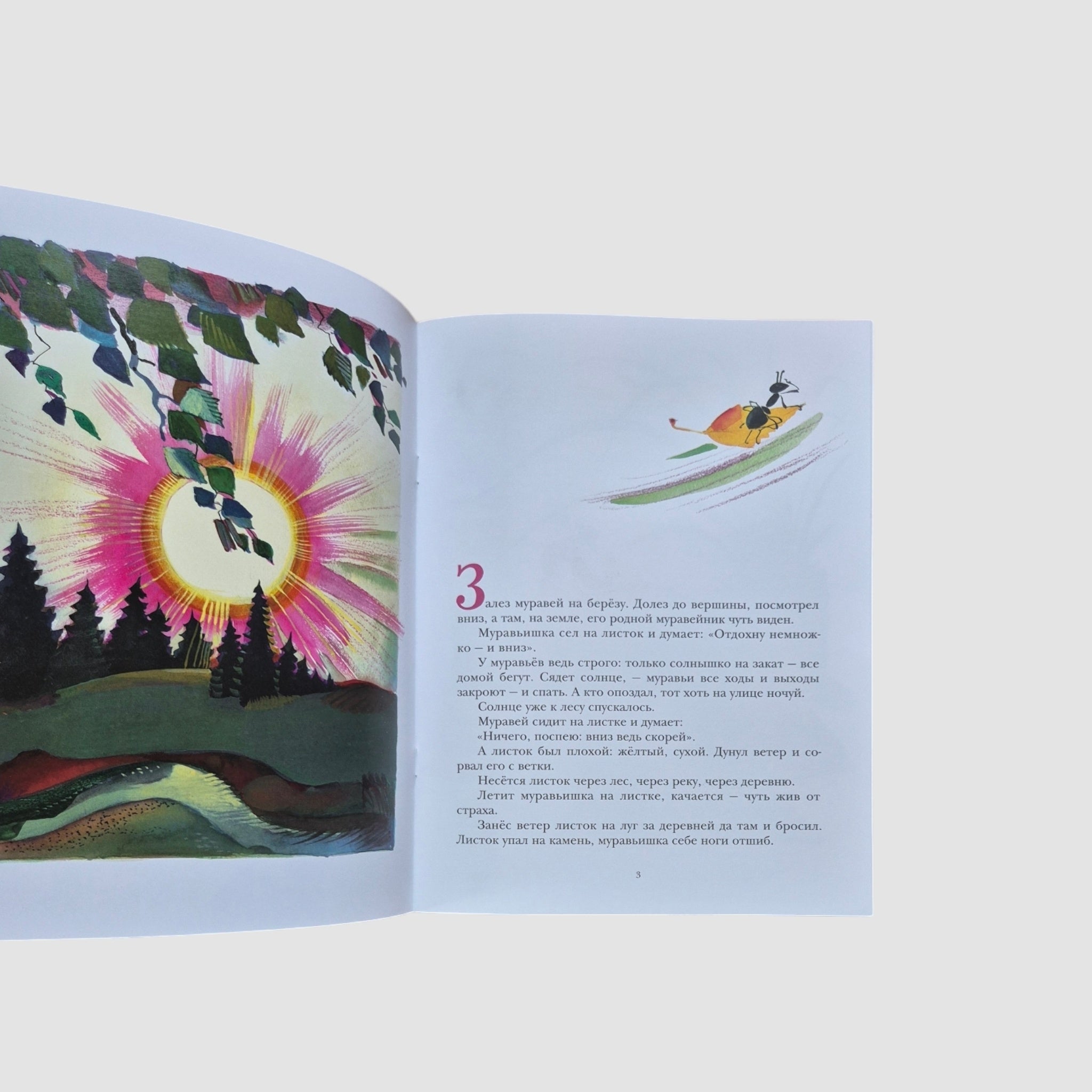 How the ant hurried home