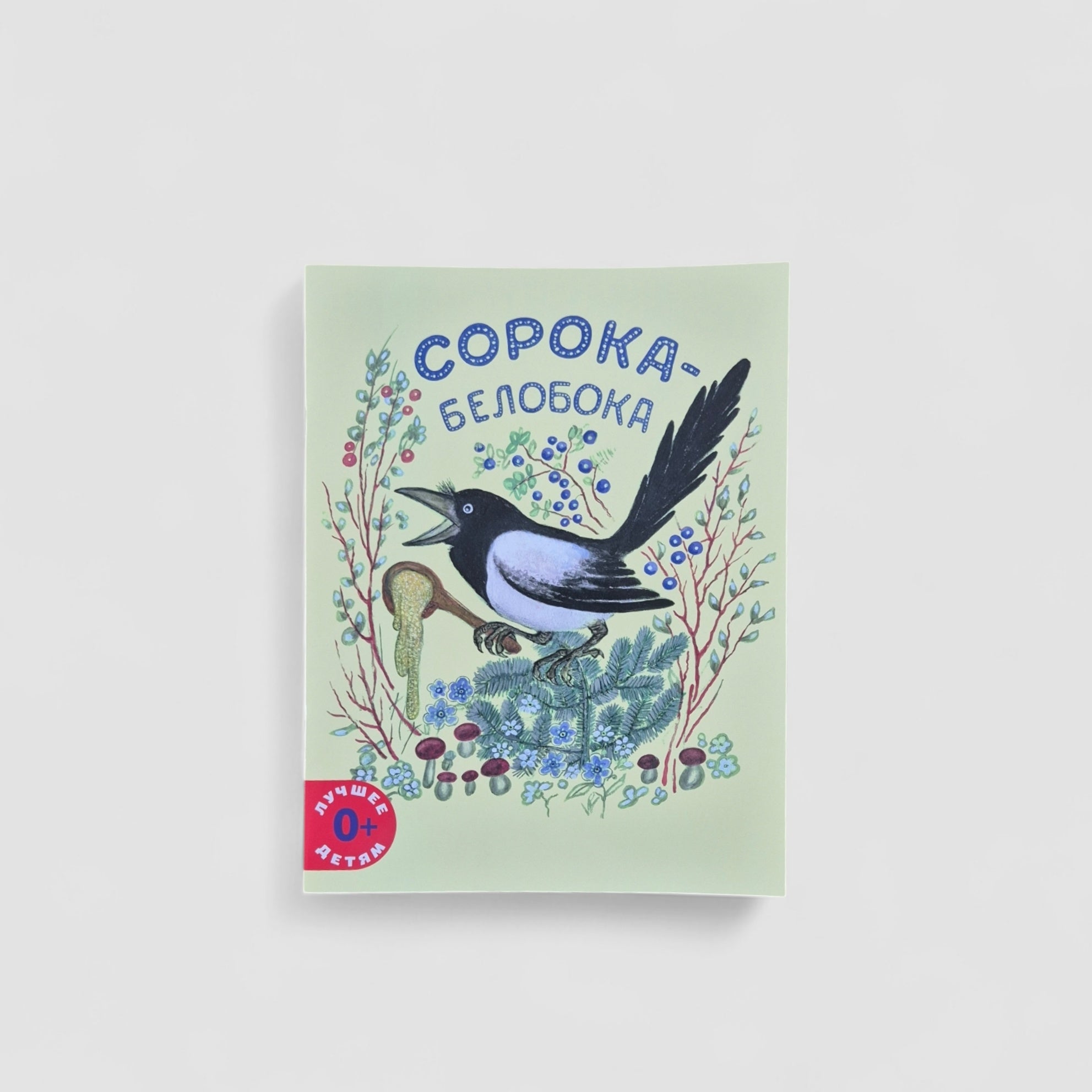 Сорока-белобока