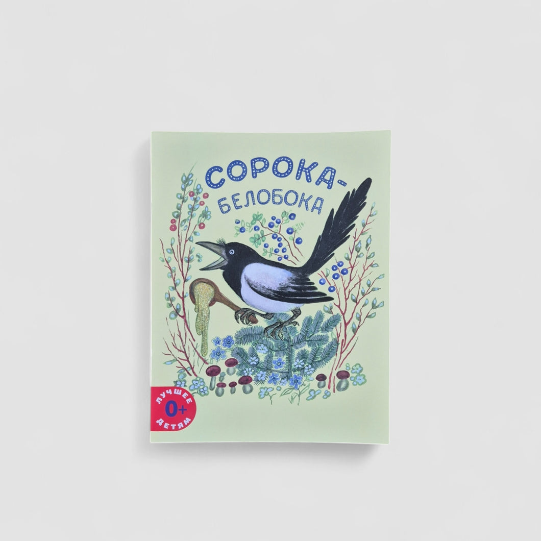 Сорока-белобока