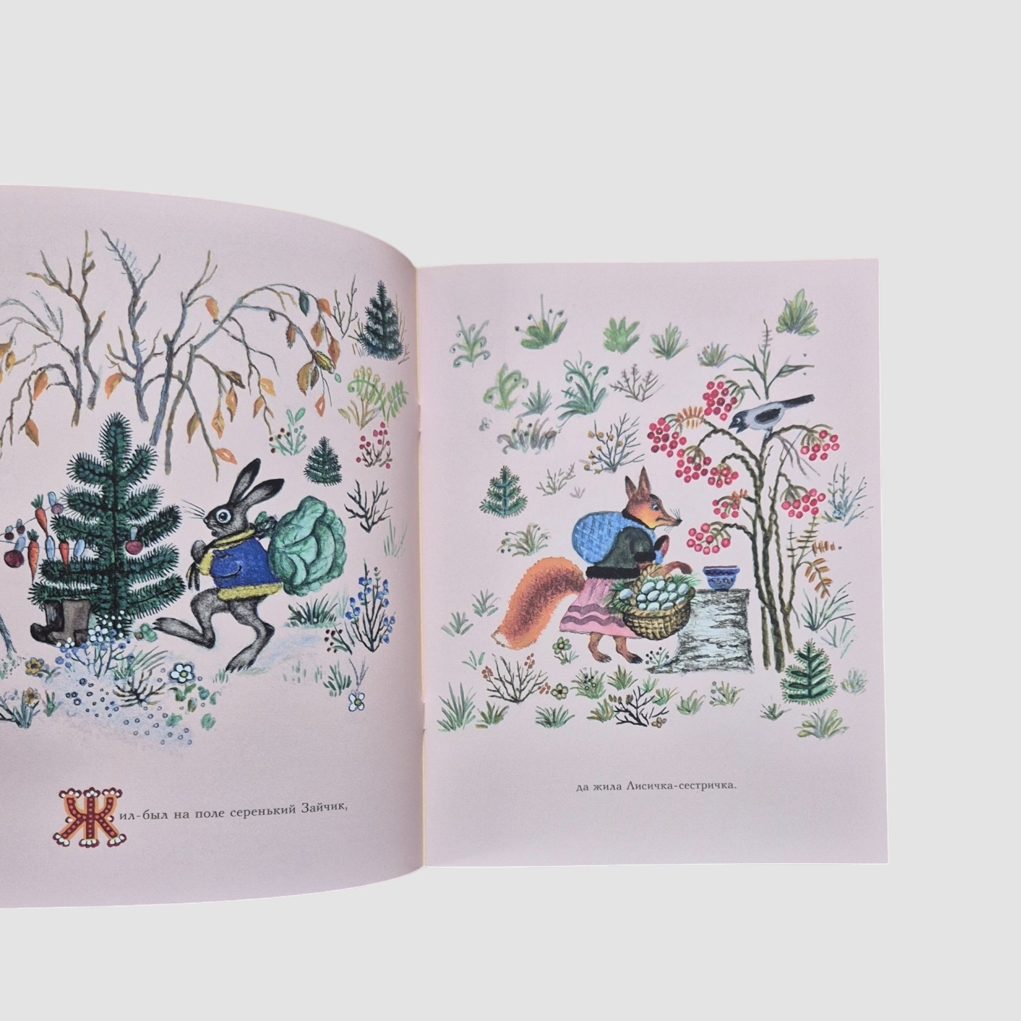 Лиса и заяц