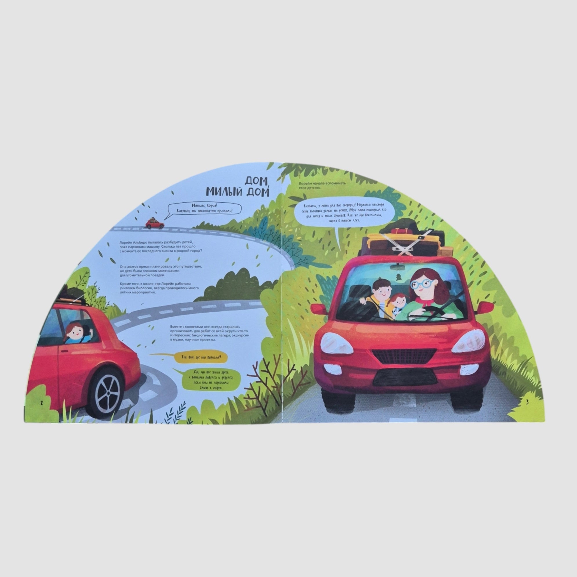 Вокруг лесов