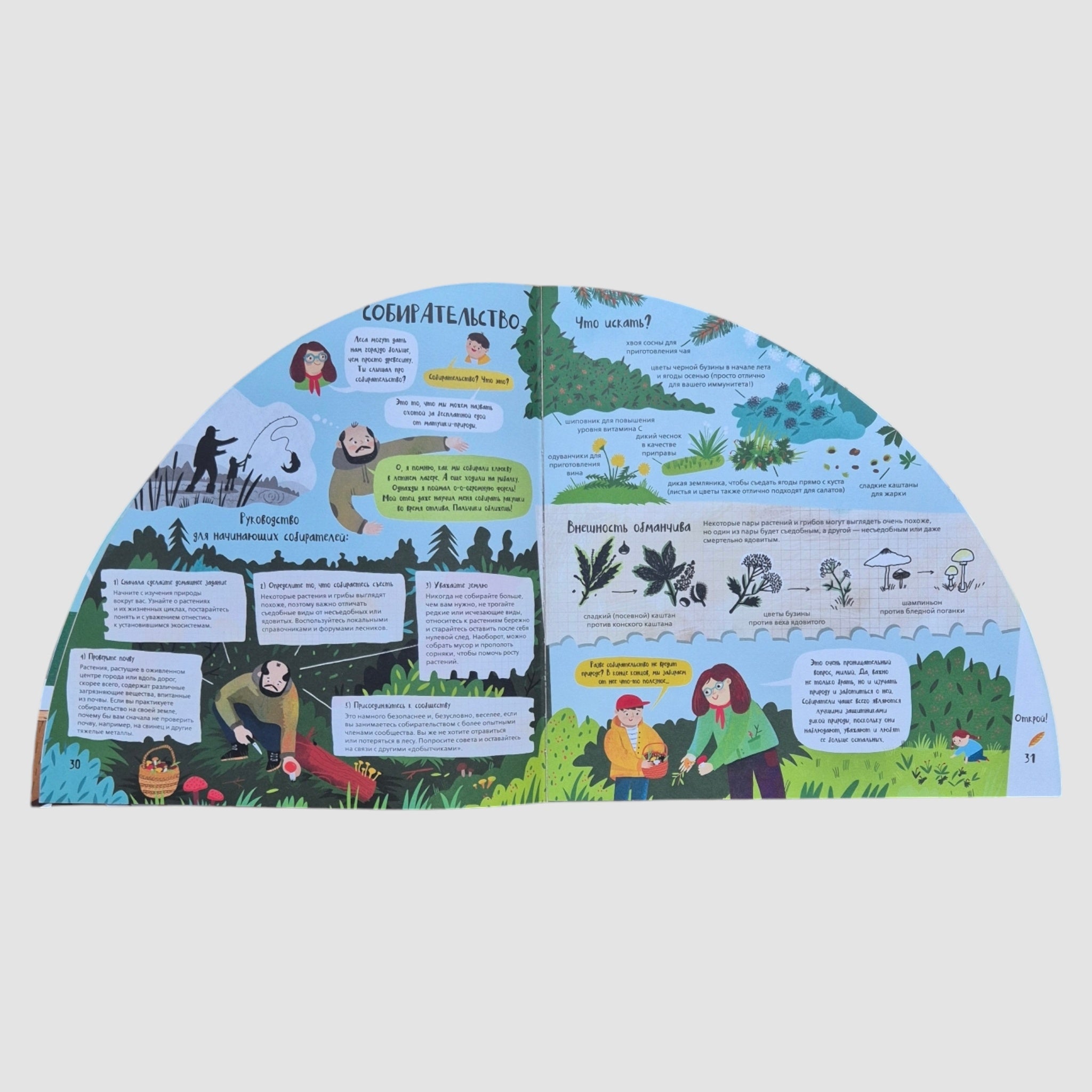 Вокруг лесов