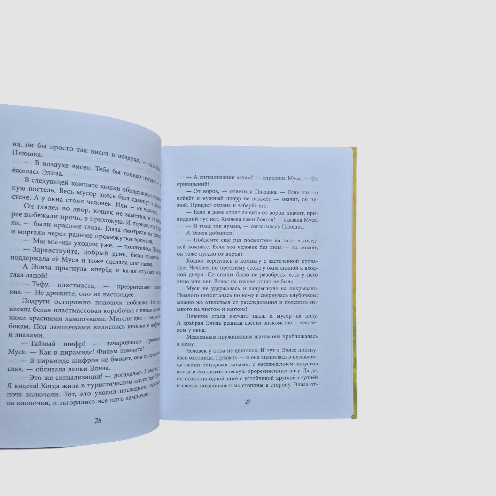 У кошек всегда каникулы