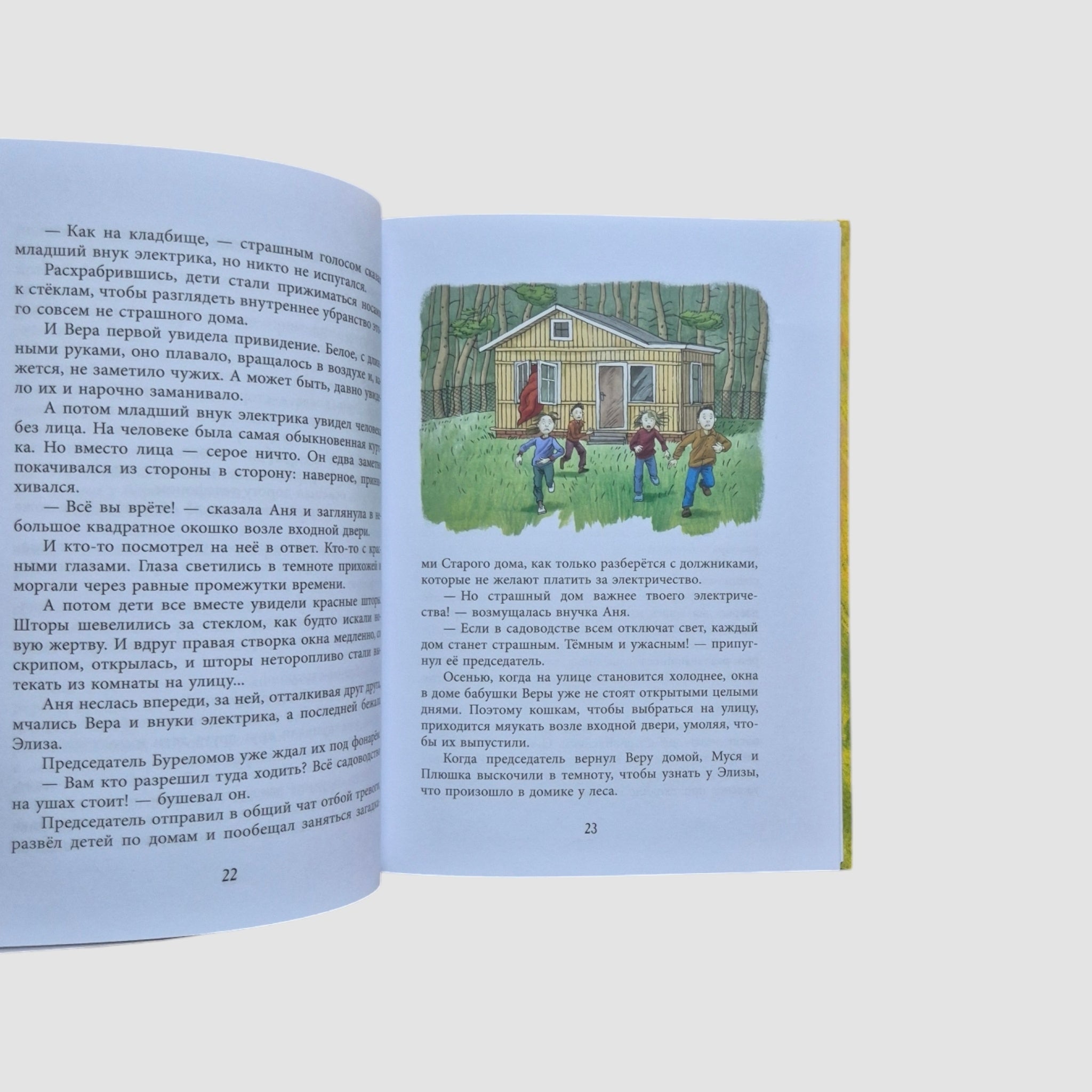 У кошек всегда каникулы