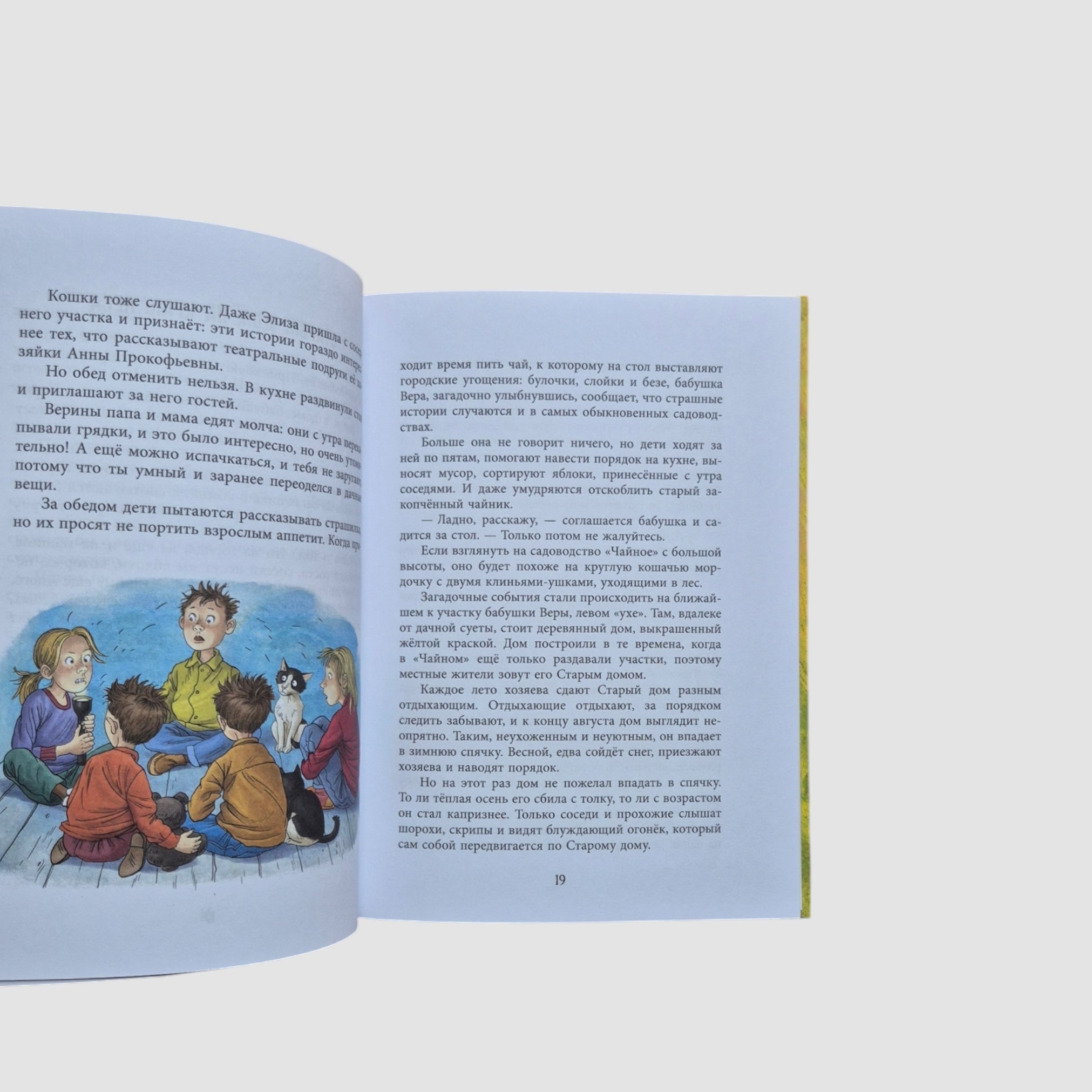 У кошек всегда каникулы