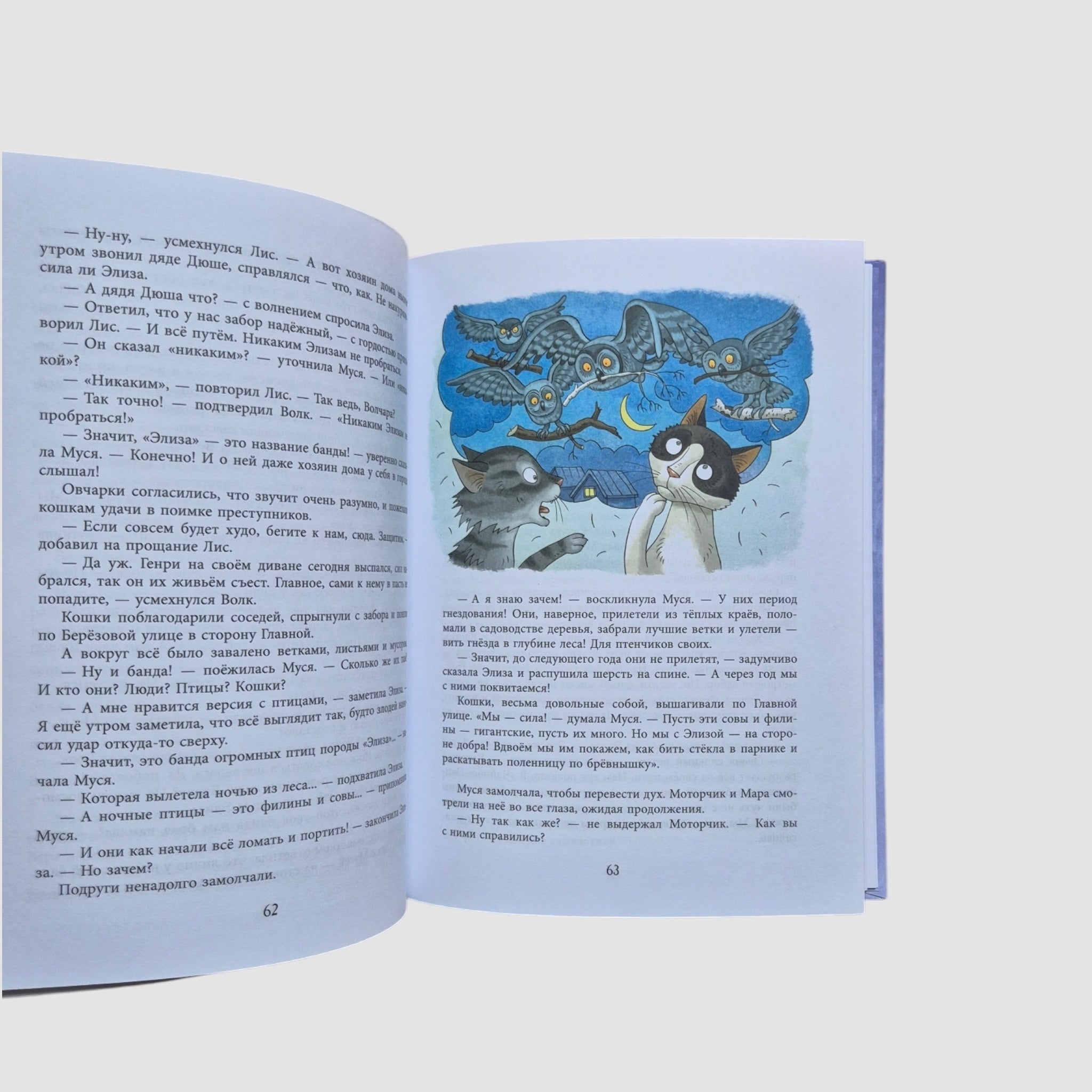 Ошибаются даже кошки