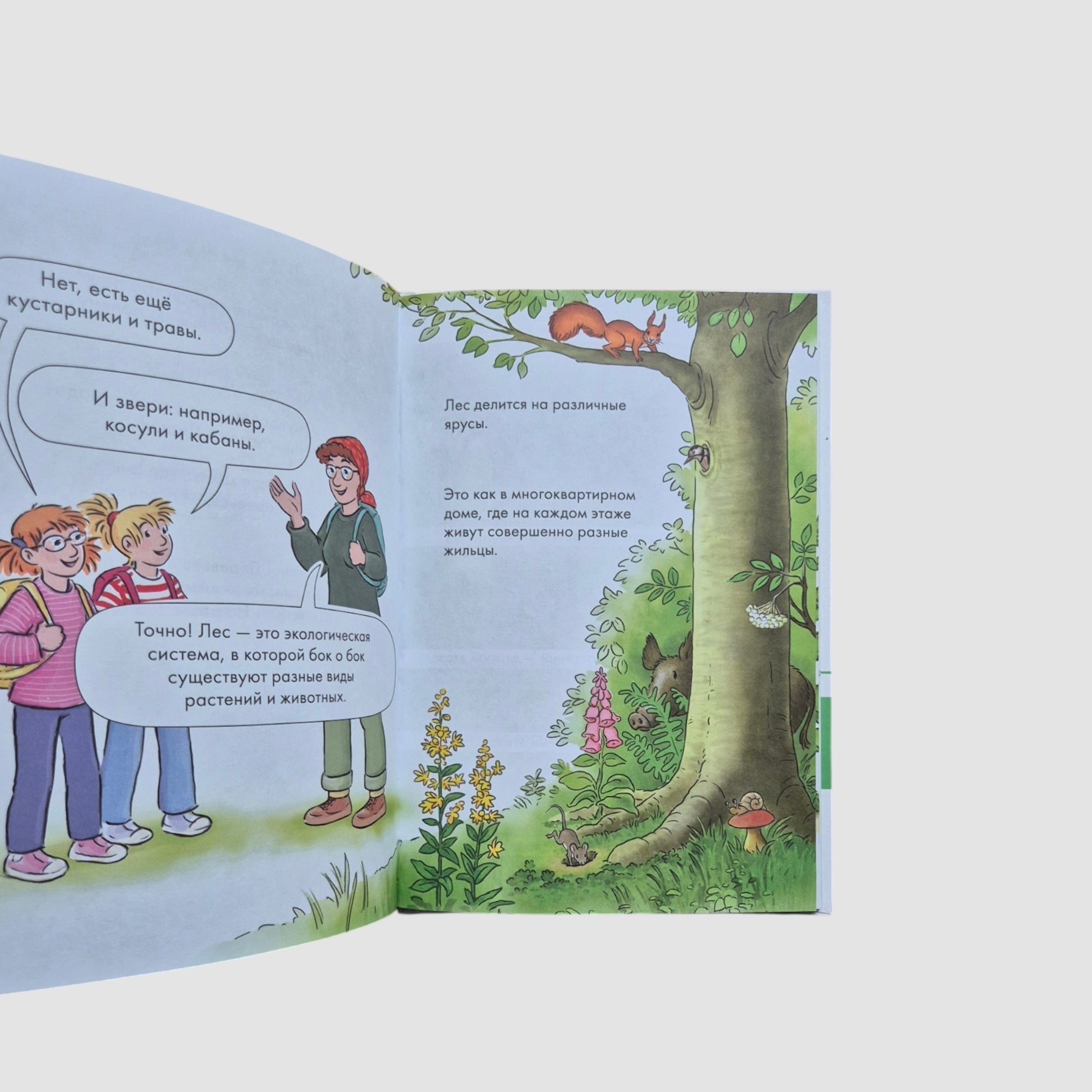 Лесные детективы. Комиксы с Конни