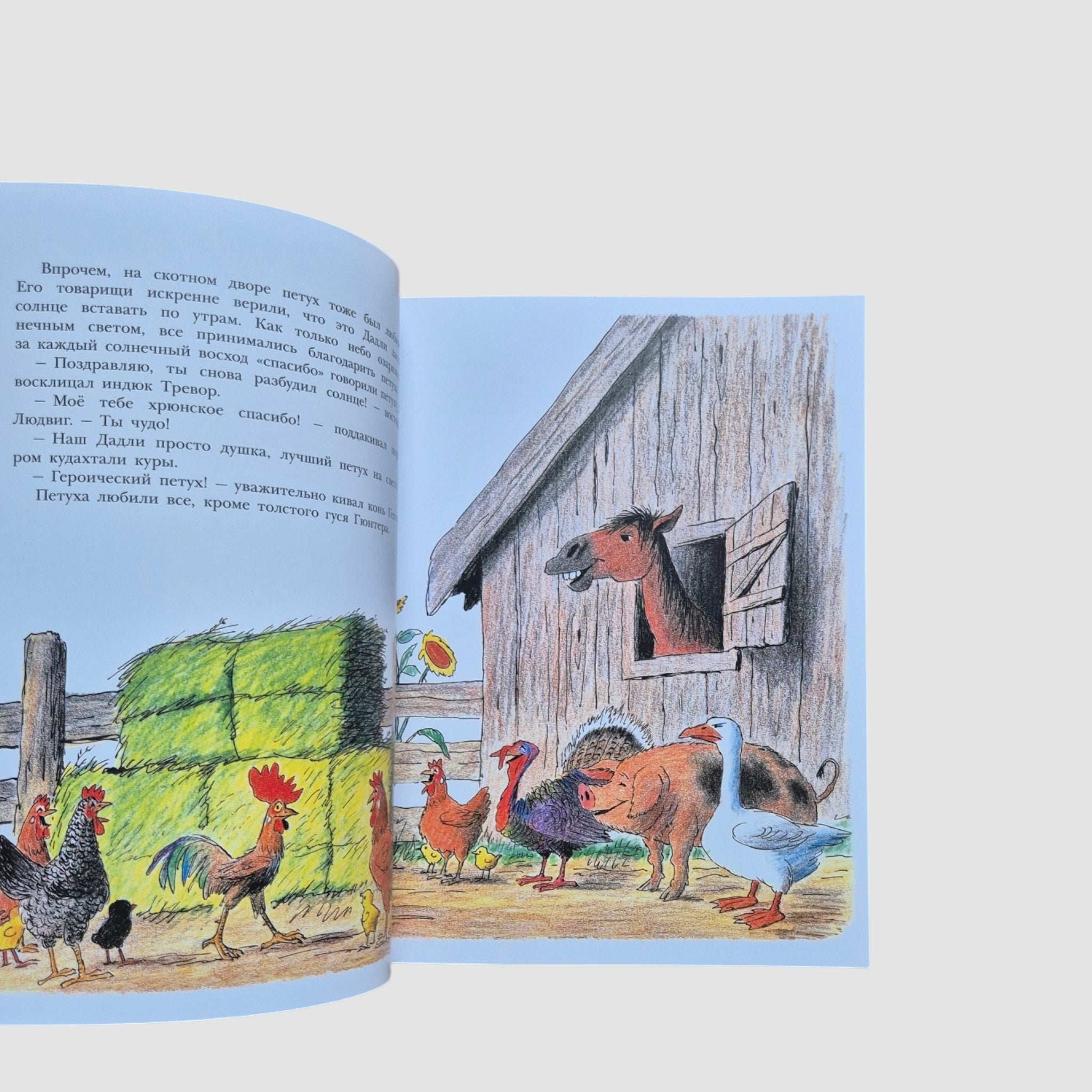 Петушок Дадли