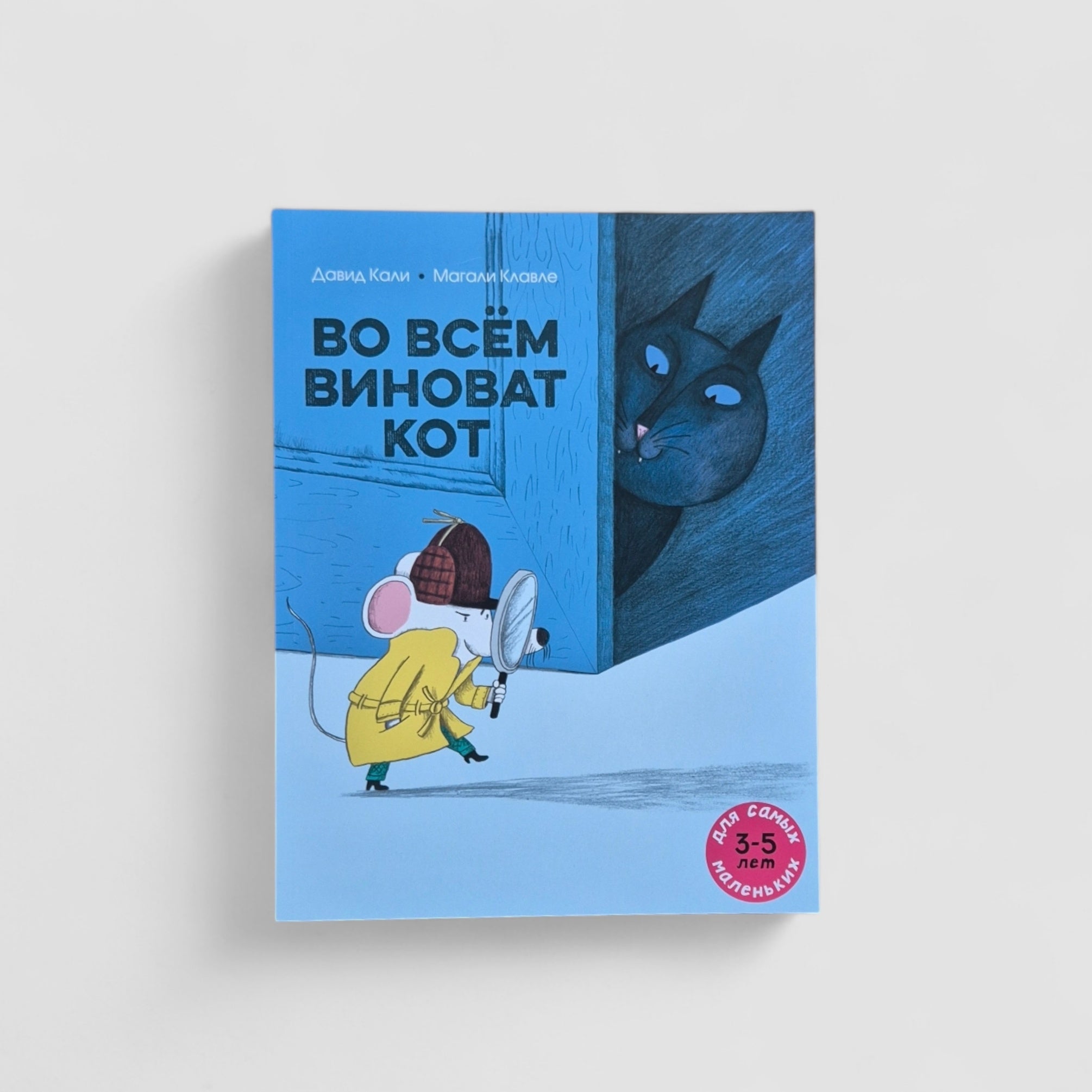 Во всём виноват кот