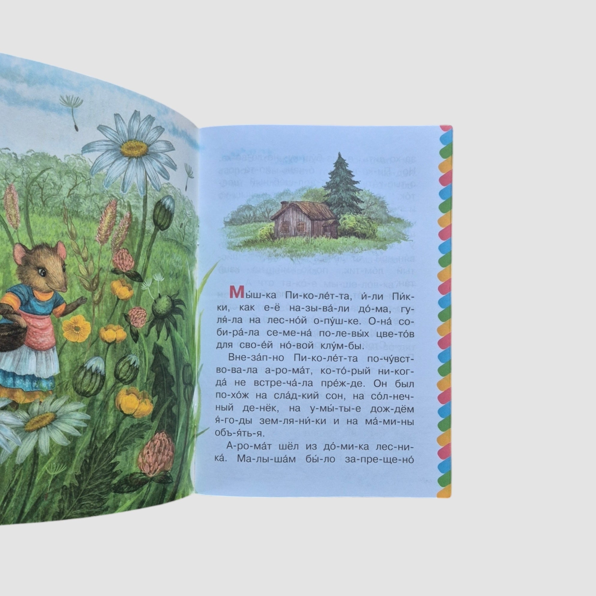 Мышонок Питти и шоколадная фабрика. Сам читаю по слогам