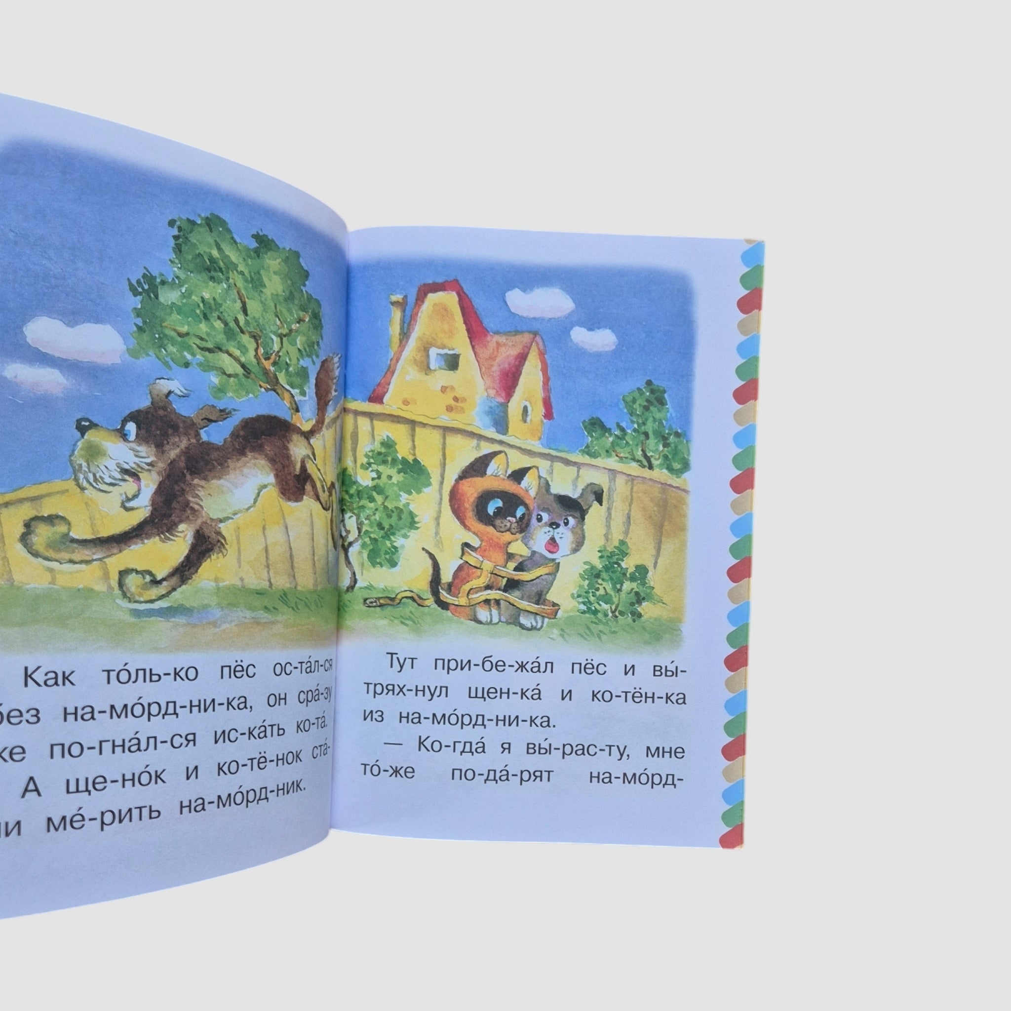 Котенок по имени Гав. Хорошо спрятанная котлета. Сам читаю по слогам