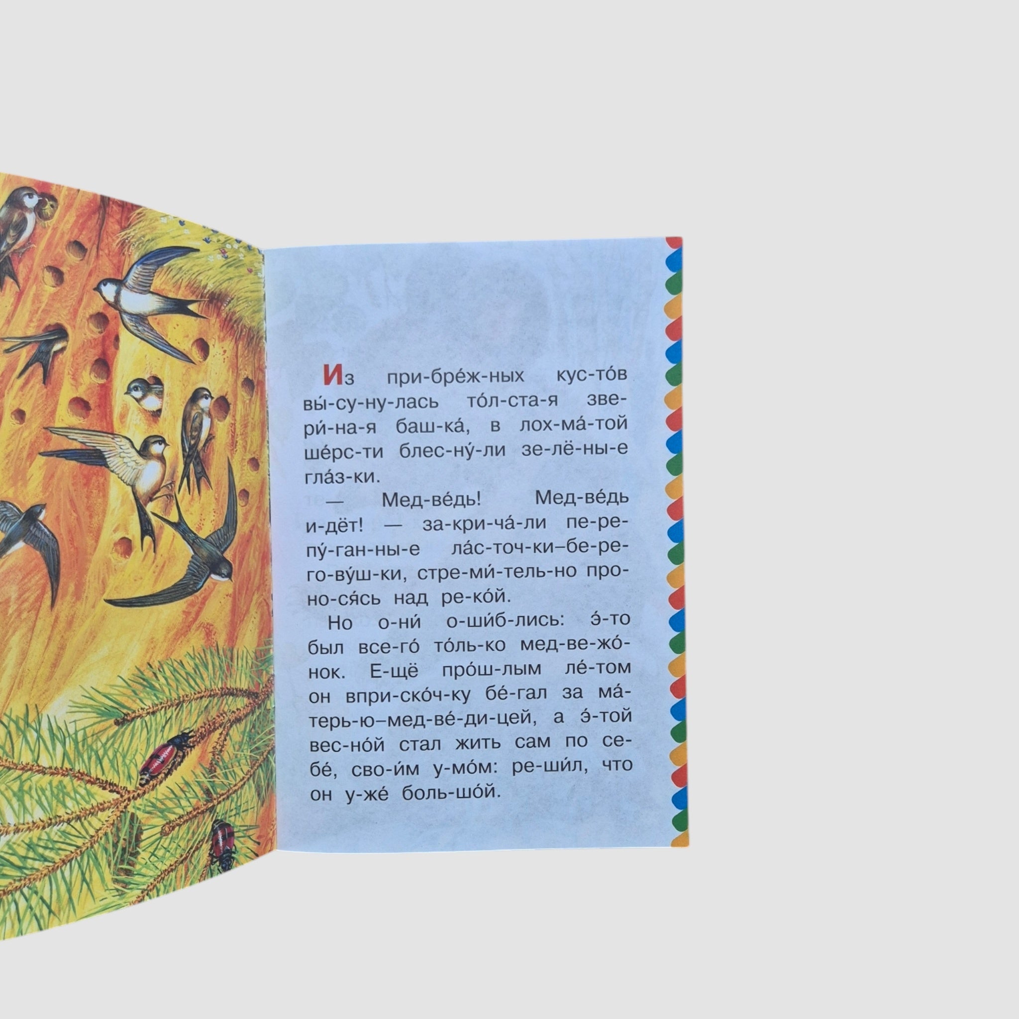 Мишка-башка. Сам читаю по слогам