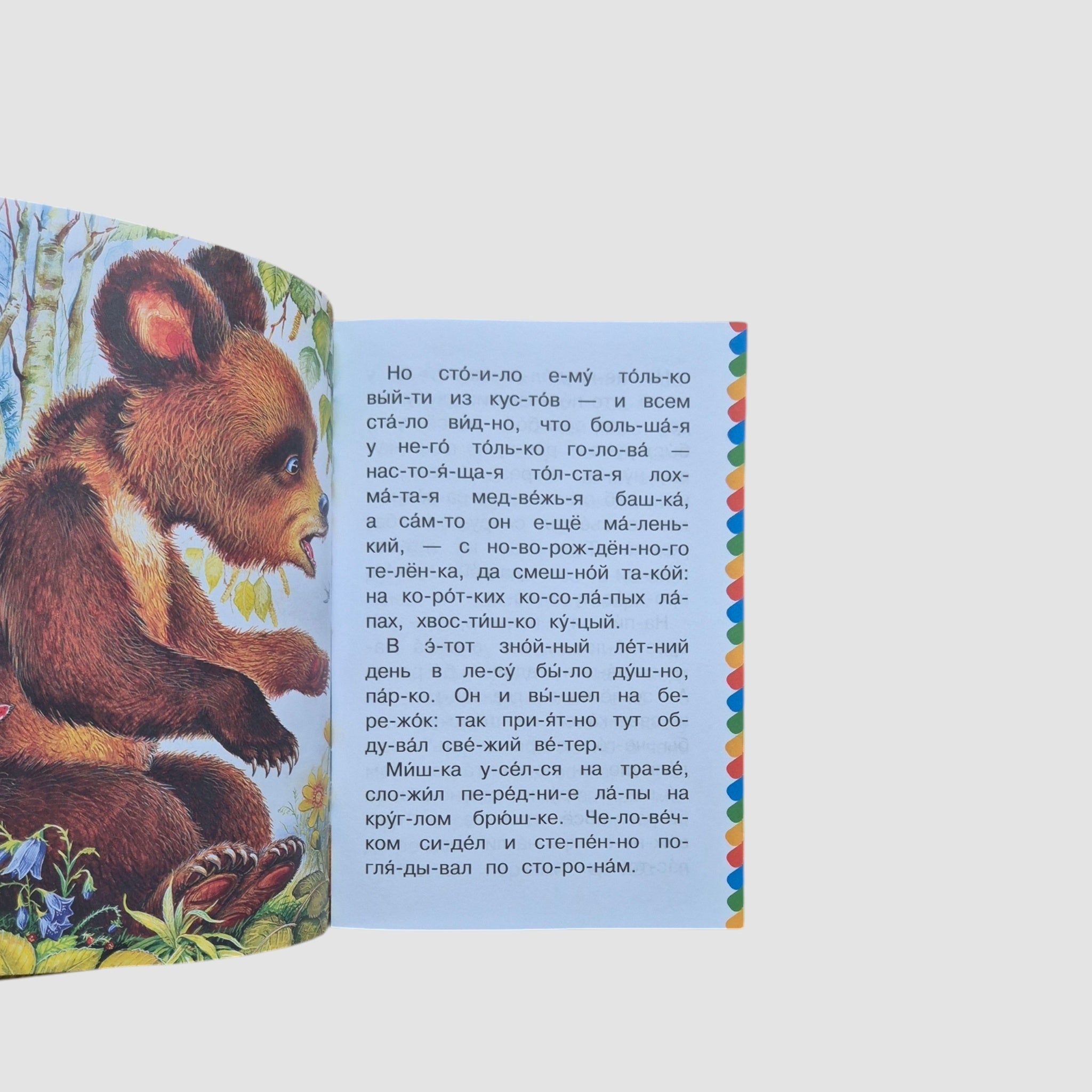 Мишка-башка. Сам читаю по слогам