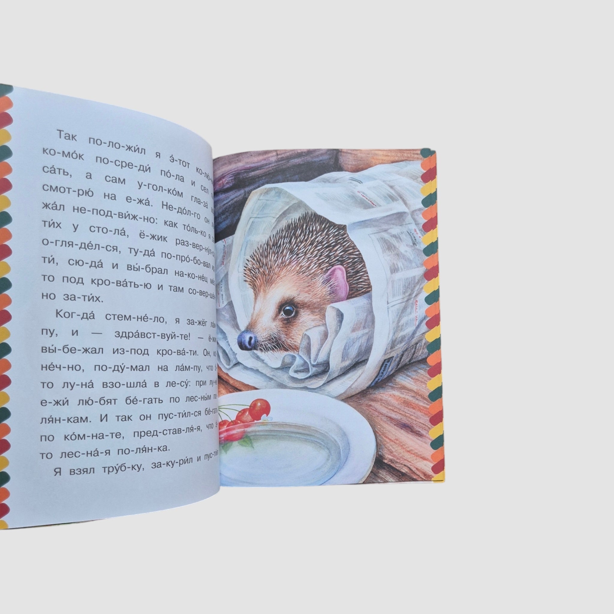 Ёж. Сам читаю по слогам